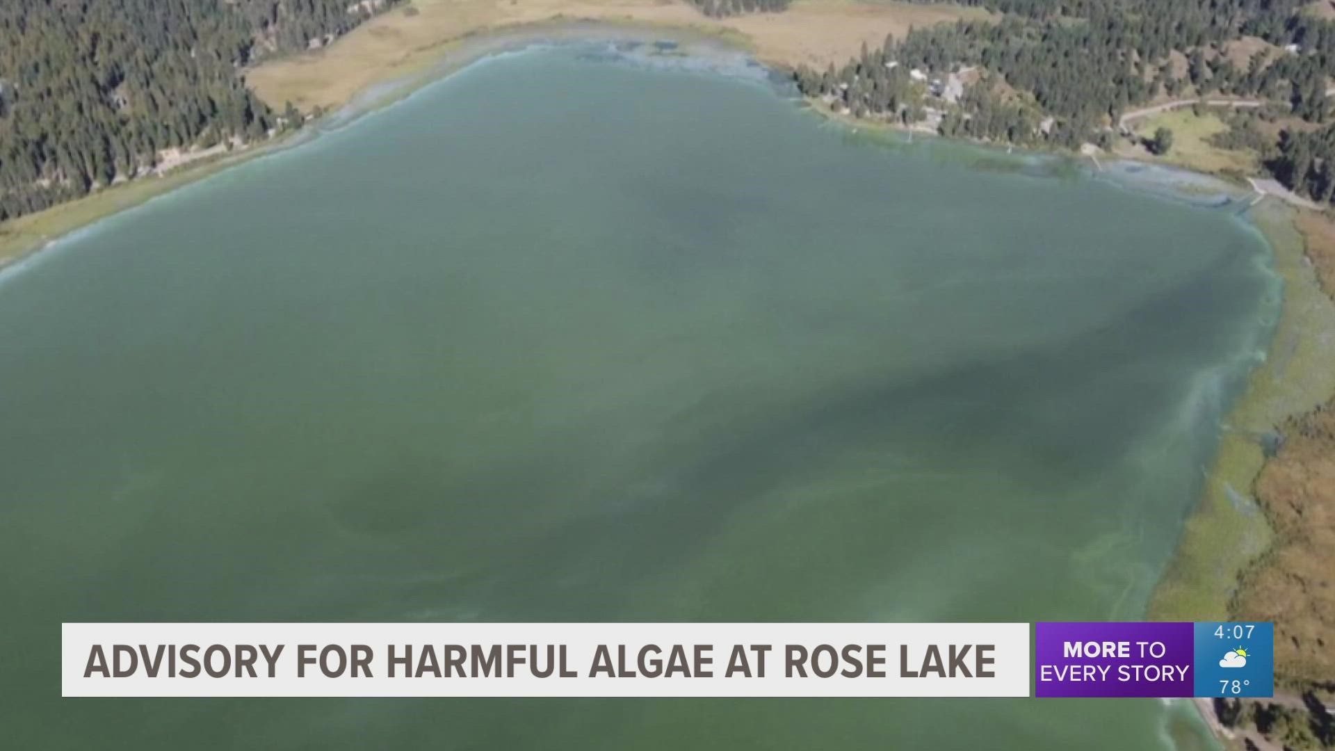The public health advisory comes after a recent water sample by Idaho's environmental department indicated the presence of harmful blue-green algae in Rose Lake.