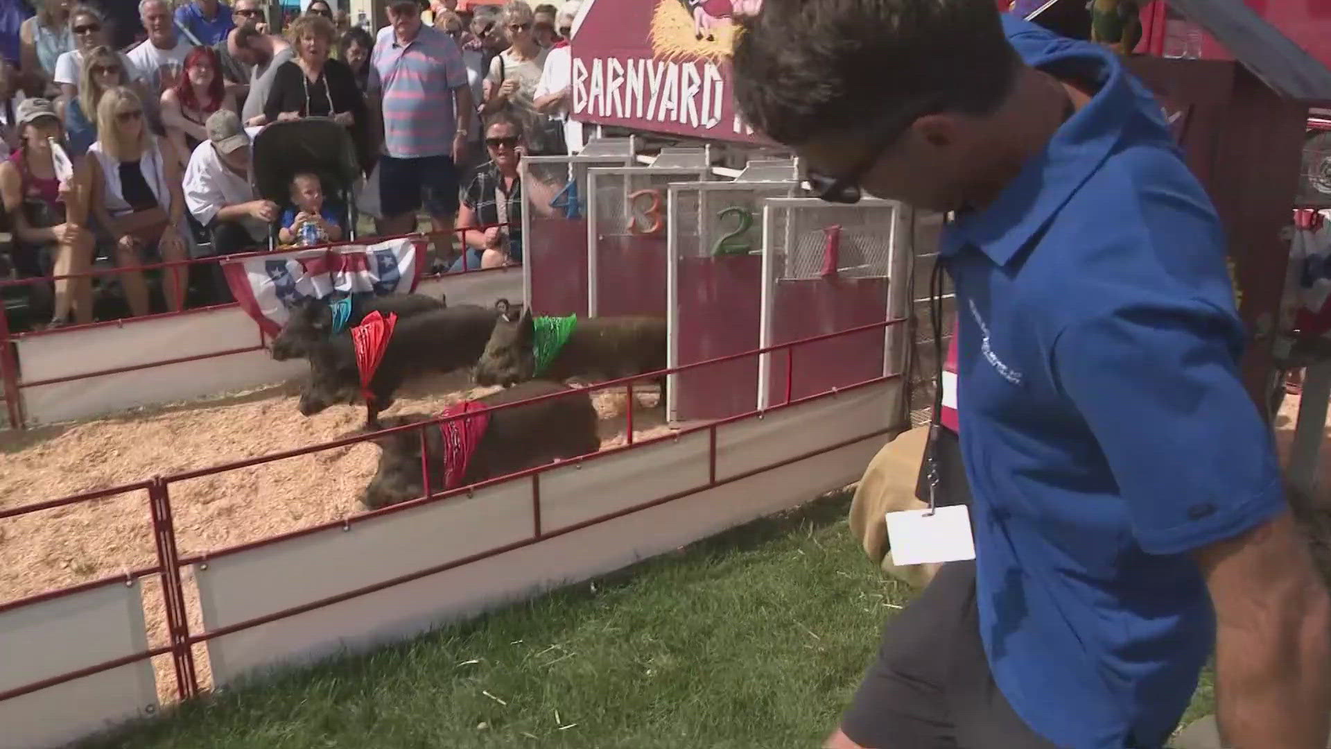 The KREM 2 team went to see the barnyard races at the Spokane County Interstate Fair.