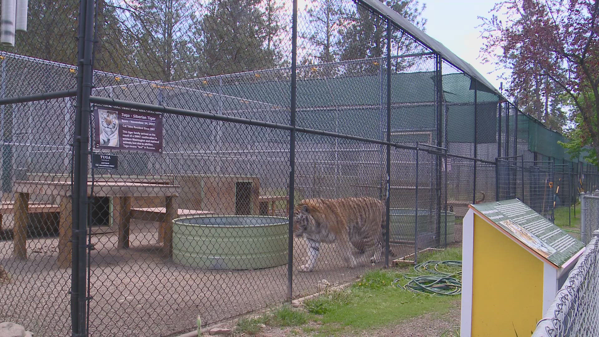 Cat Tales Wildlife Center hopes to relocate from its current North Spokane County location.