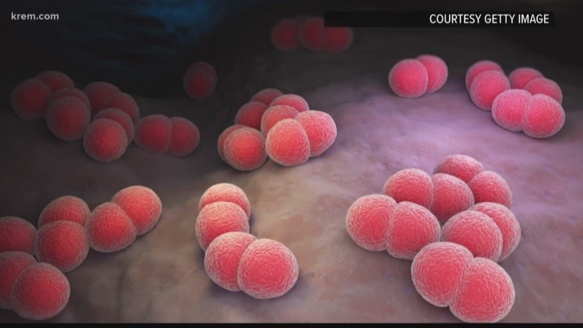 Meningococcal disease is a contagious infection that may cause infection of the covering of the spinal cord, bacteria in the blood or pneumonia, health officials said.