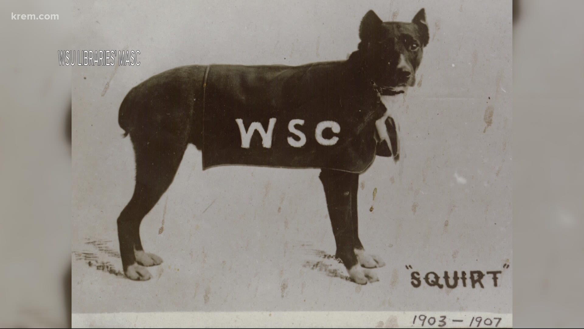 One of WSU's original mascots involves a highly unique, and seemingly risky, story.