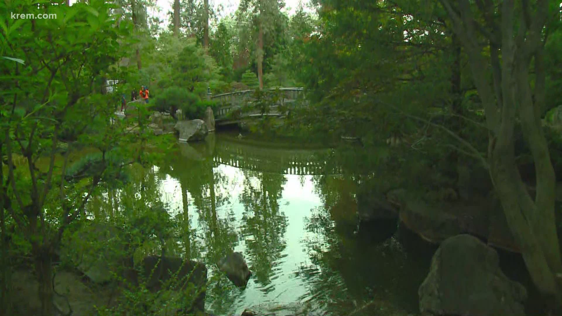 After being closed for a year, the Japanese Garden is reopening at Manito Park in Spokane.