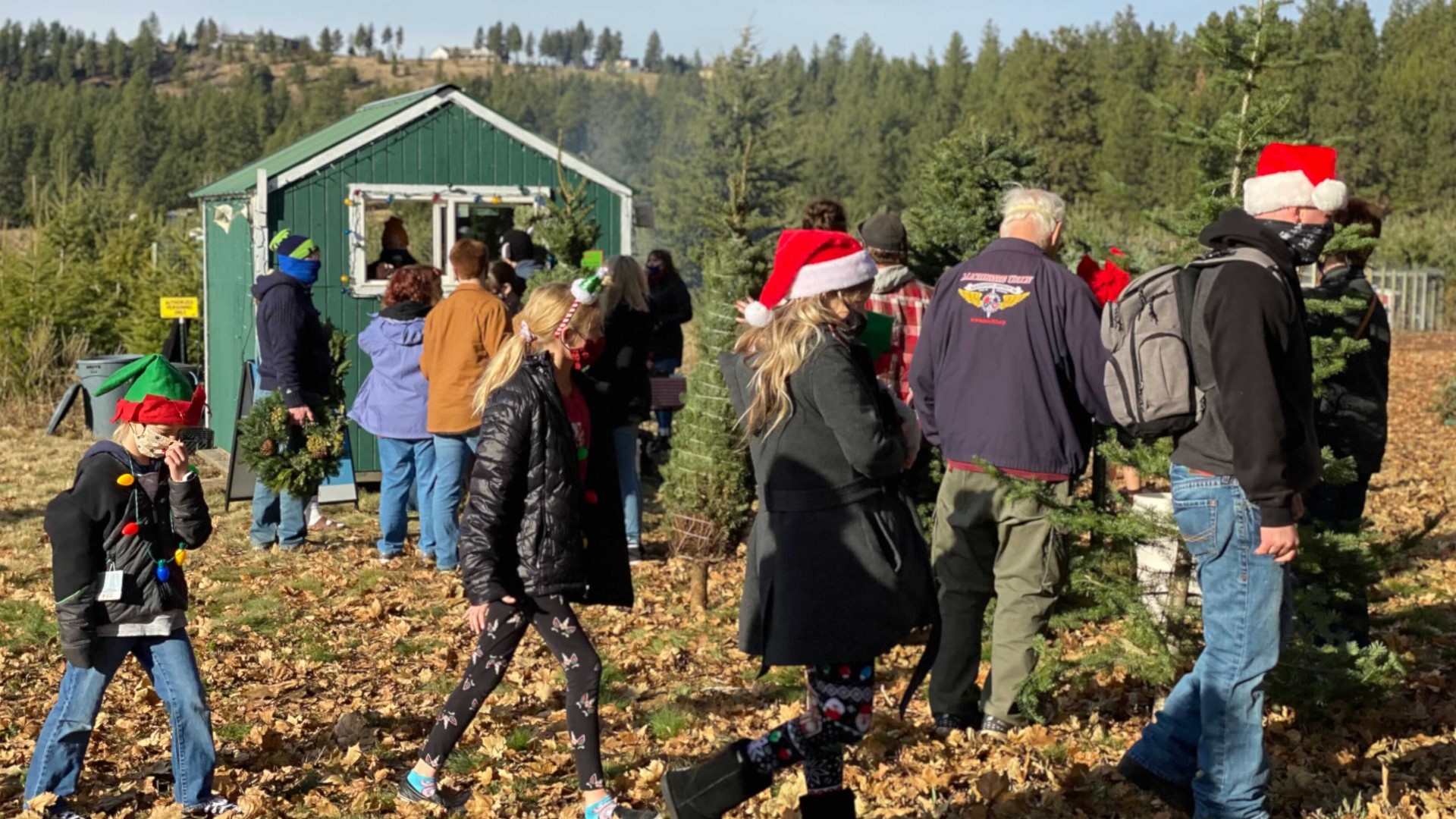 Hutton Settlement Children's Home opened their annual Christmas tree farm fundraiser. The money goes toward educational programming.