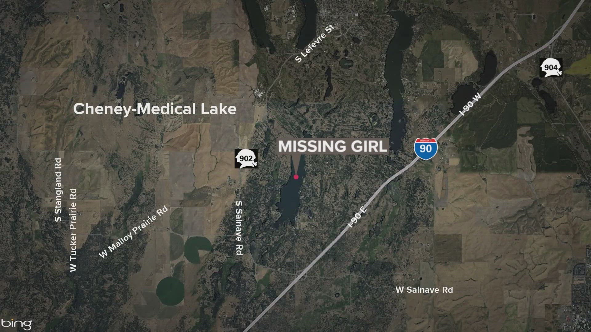 A young girl is missing after jumping into the water and not resurfacing in Clear Lake.