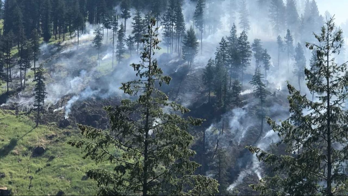 Quick actions by fire crews keeps blaze near Kamiah small