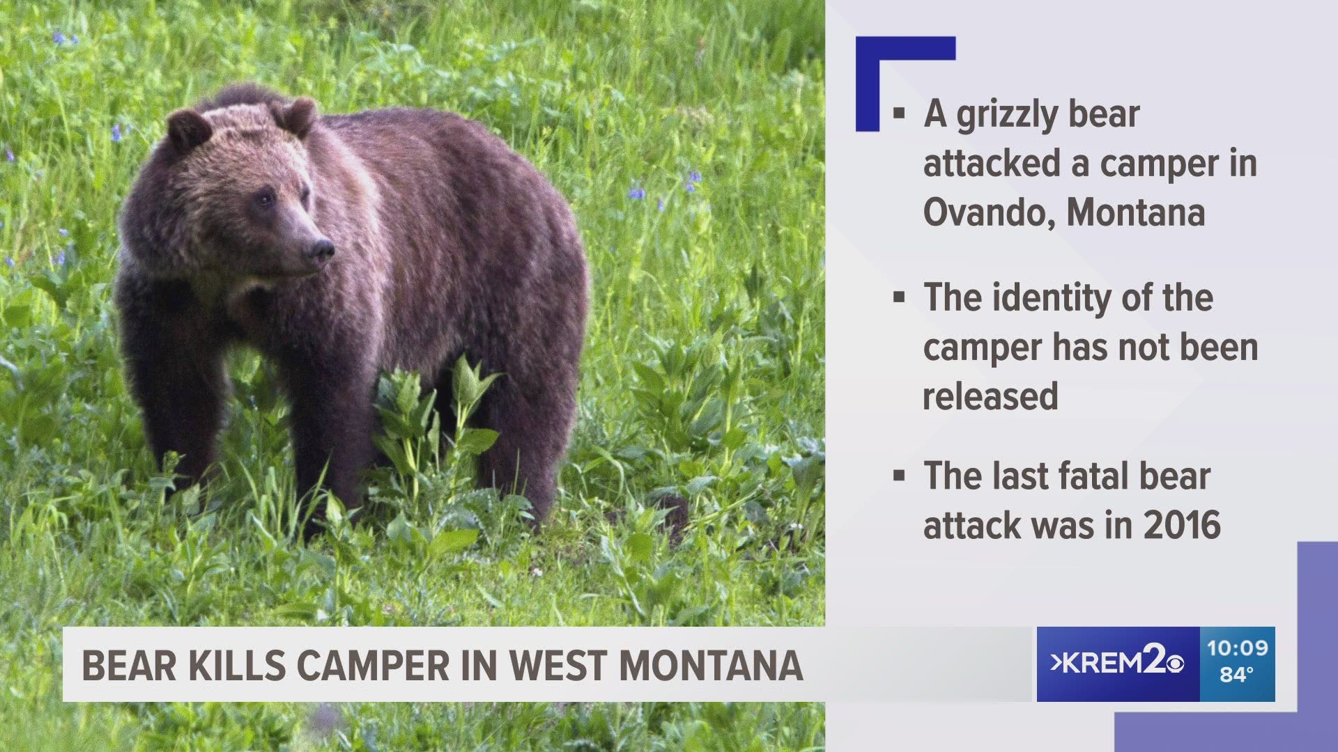 The last fatal bear attack in the area was in 2016.