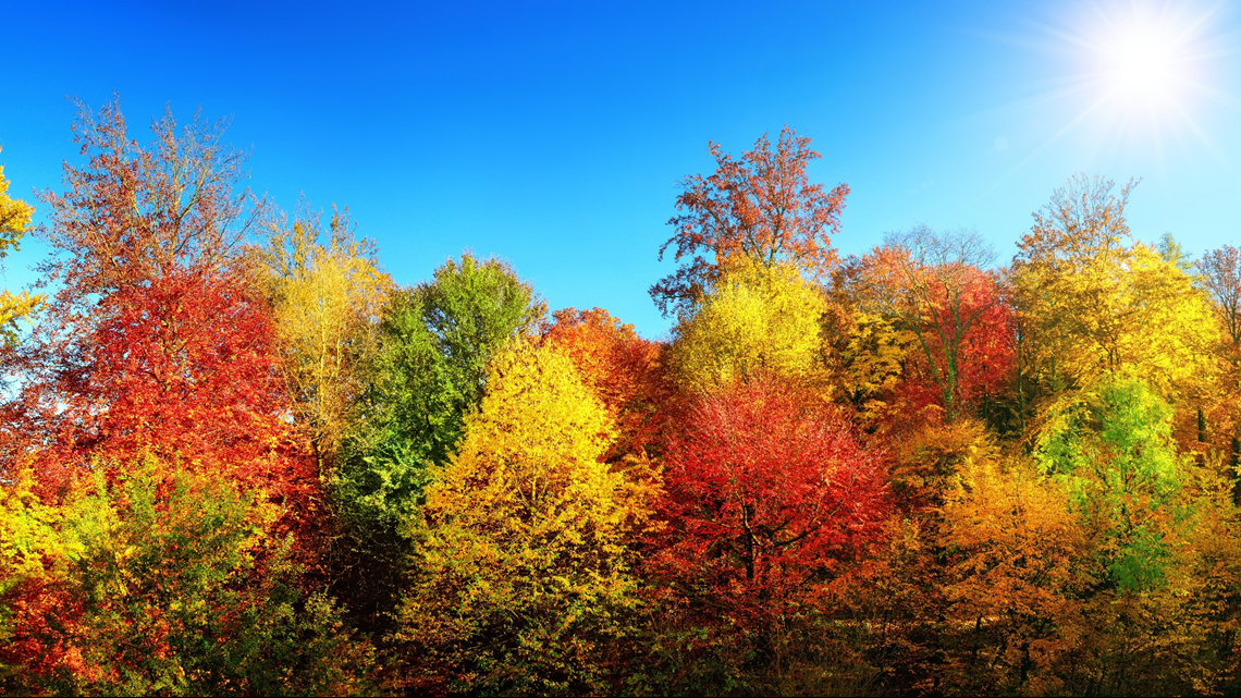 Fall foliage in Spokane should be vibrant thanks to spring rainfall |  krem.com