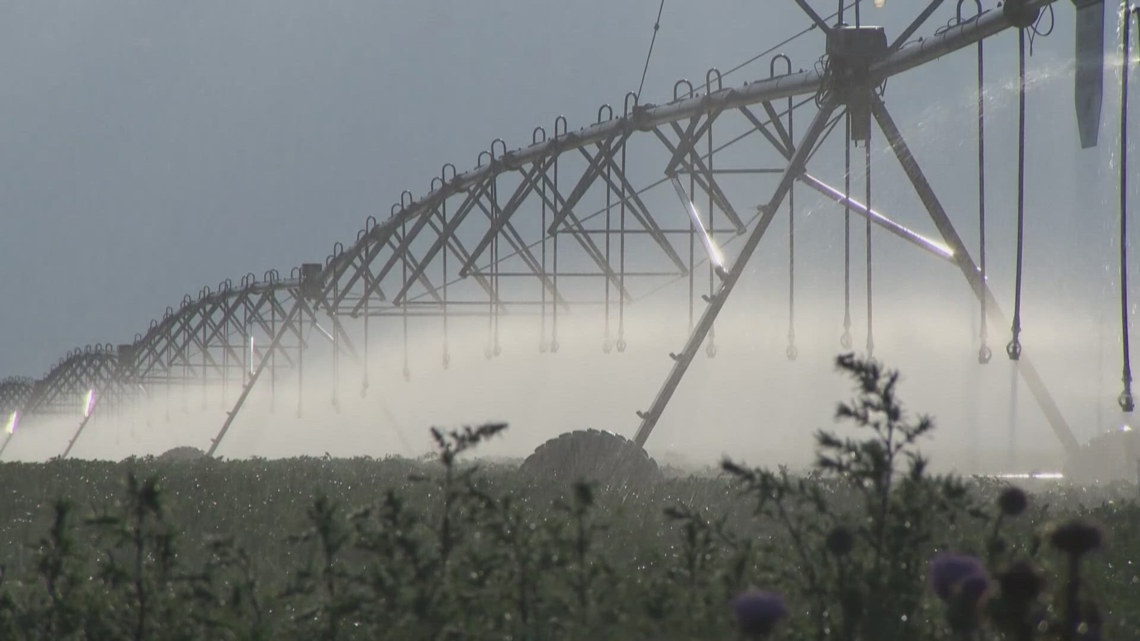 Idaho agriculture reaches record $44.5 billion in economic impact