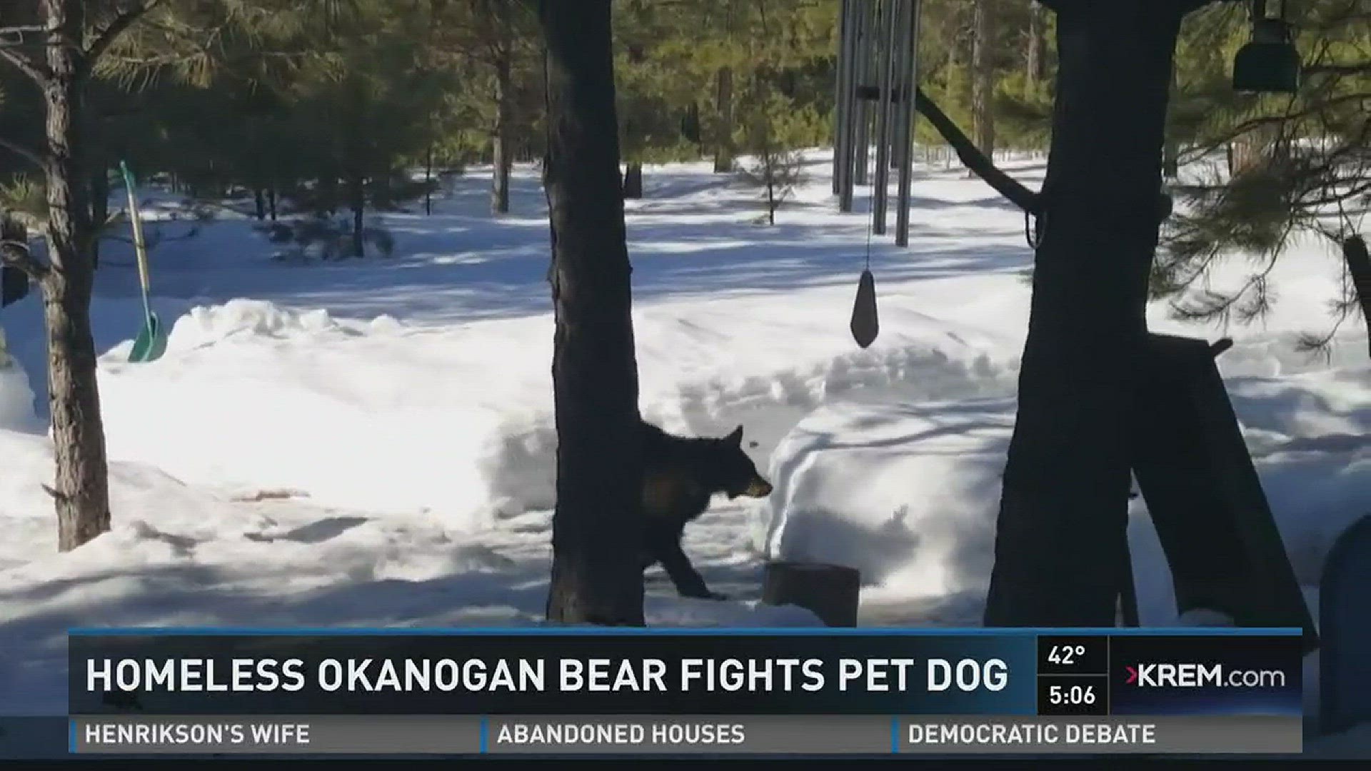 Okanogan Co. bear fights pet dog
