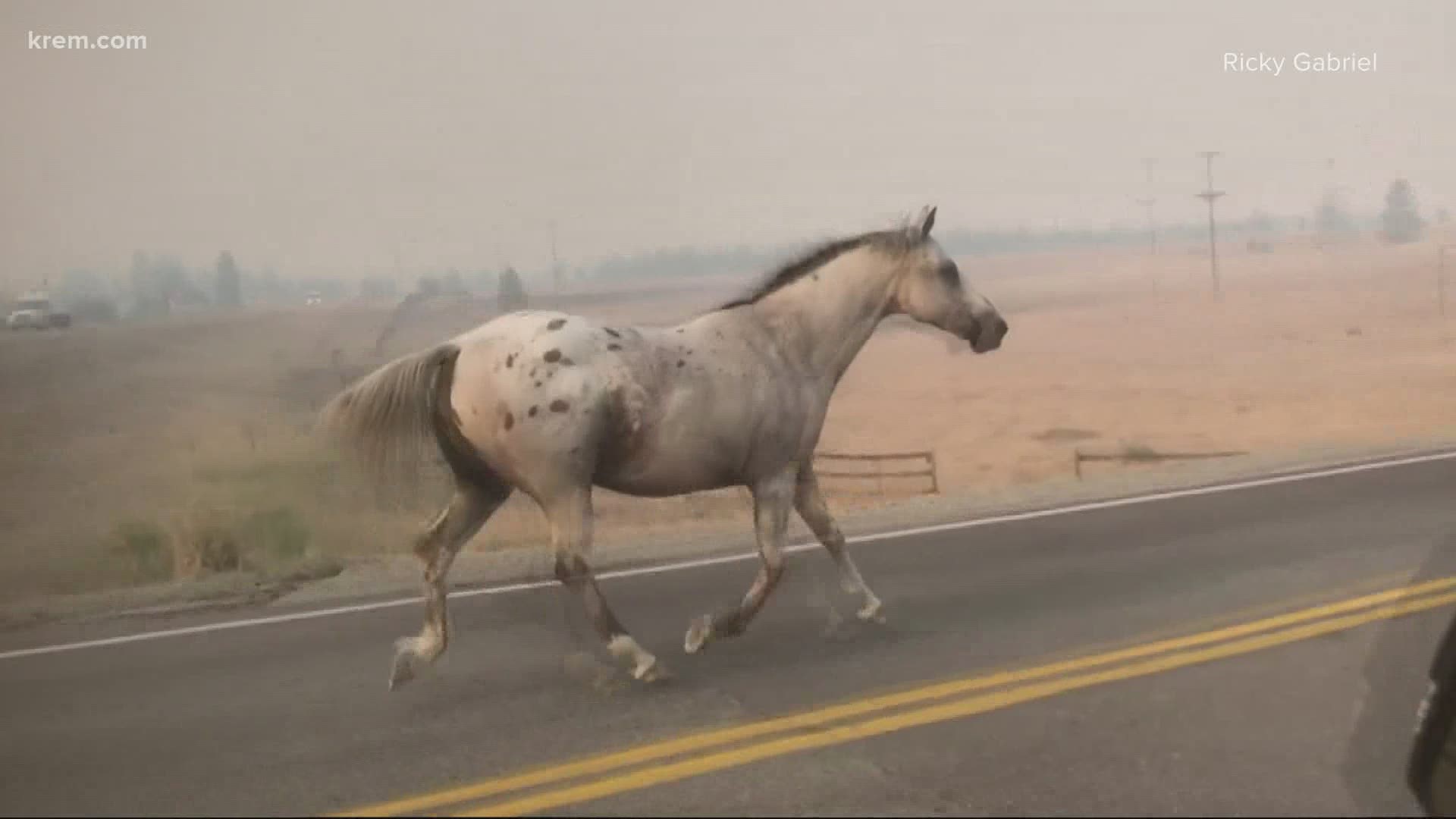 People and animals displaced as Nespelem fire continues to threaten homes in Okanogan county