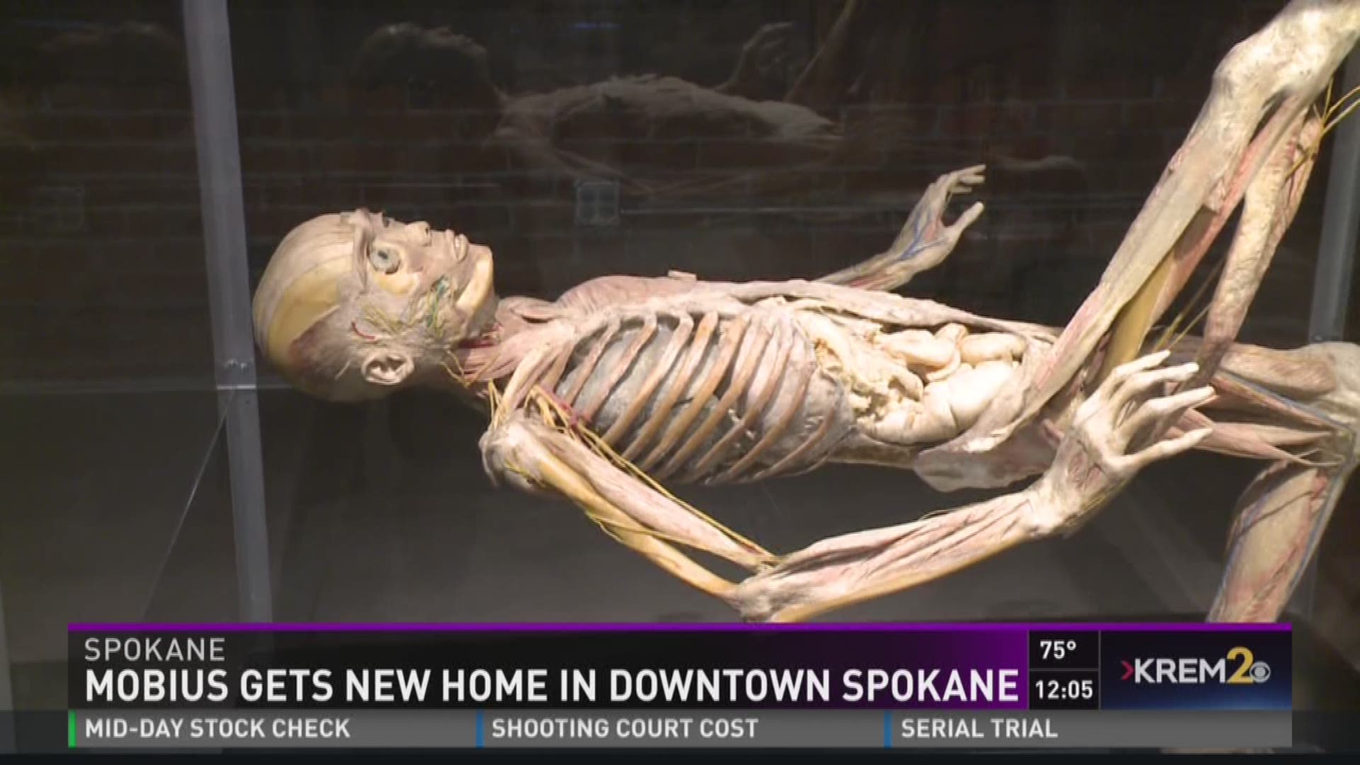 Mobius gets new home in Downtown Spokane