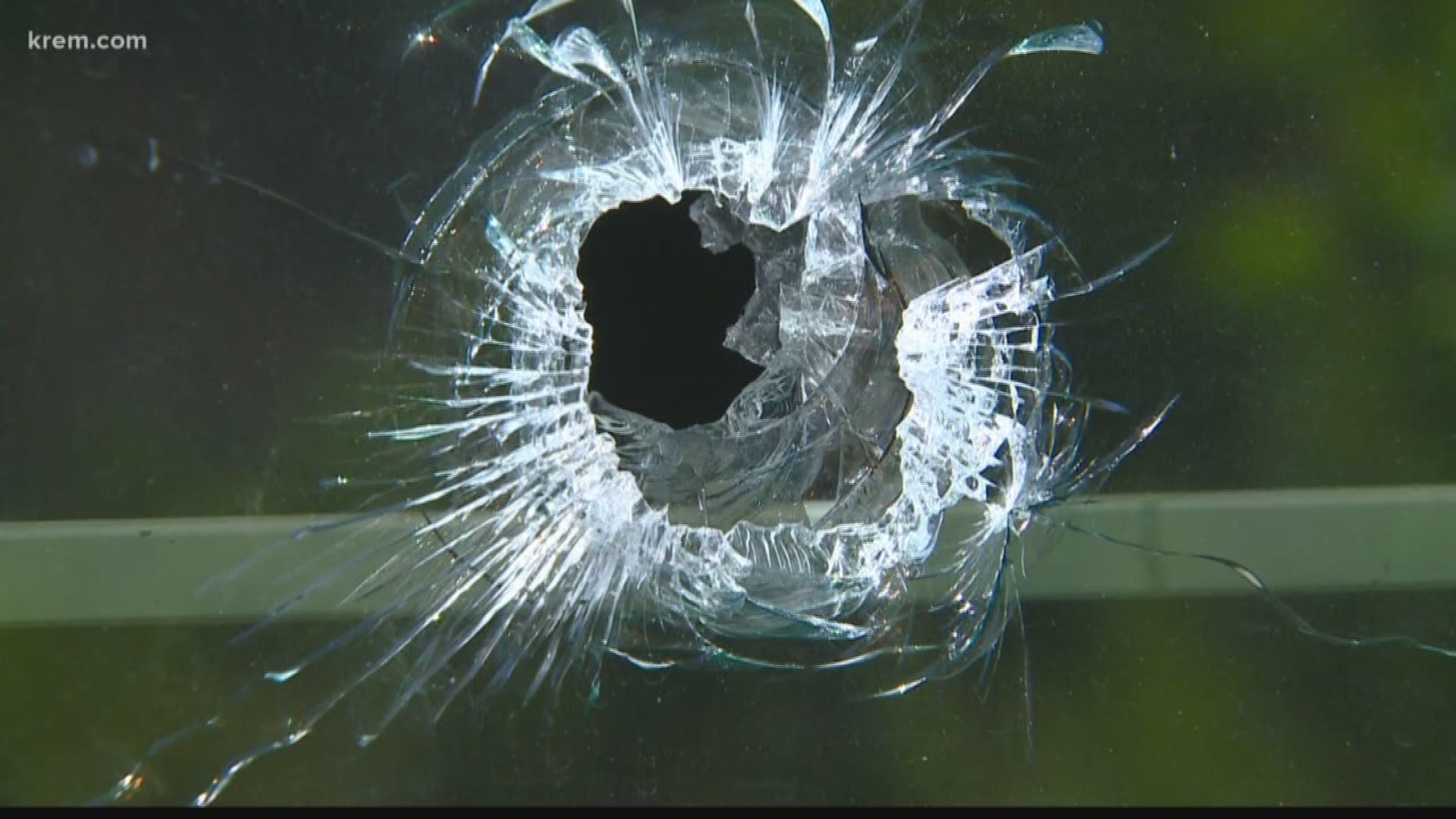 KREM's Amanda Roley spoke with SpokAnimal leaders, who say vandals tried to break into the shelter's veterinary clinic on Sunday night and left nearly $1,000 worth of damage in their wake.