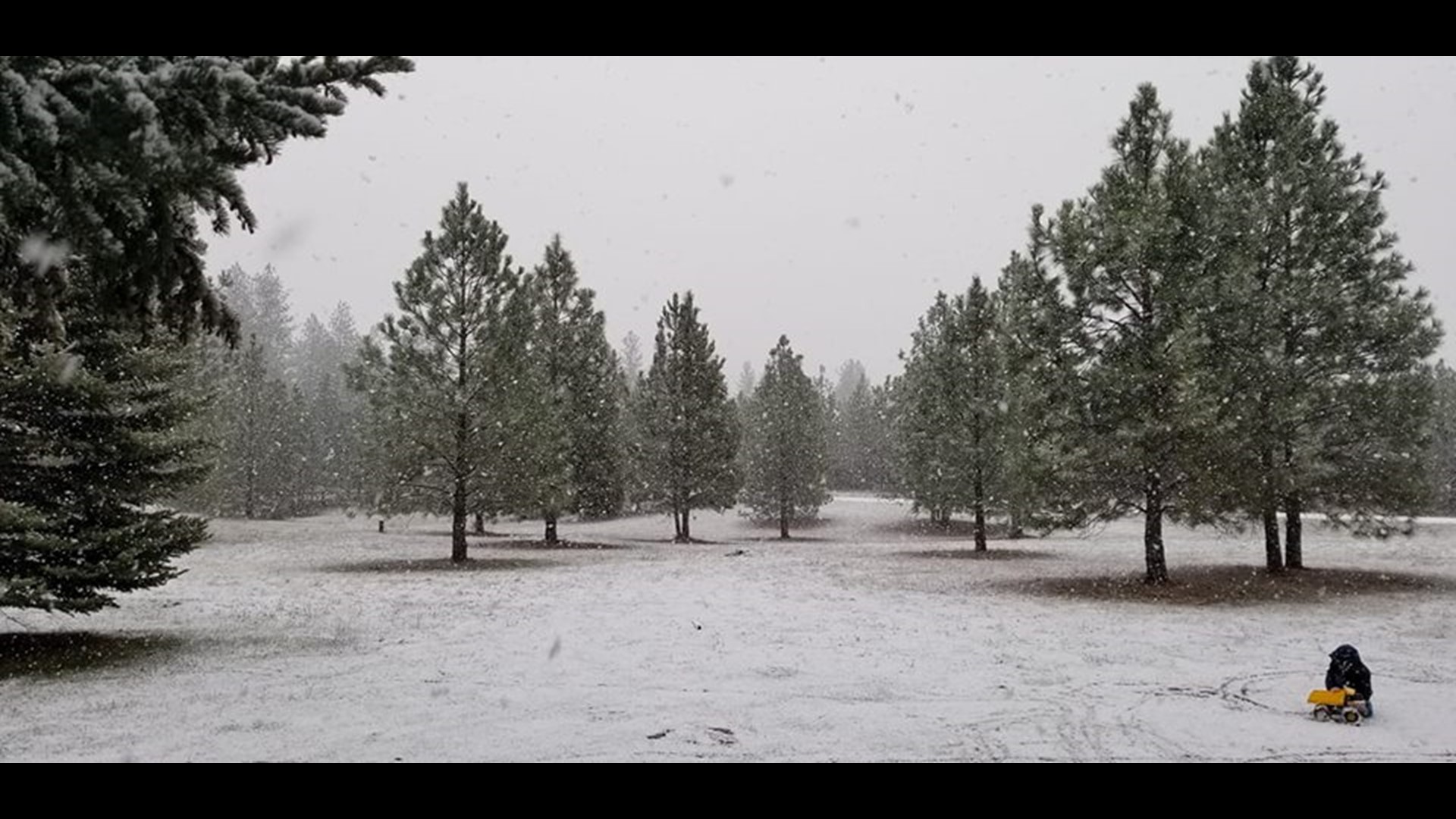 First snowfall in Spokane, parts of Inland Northwest