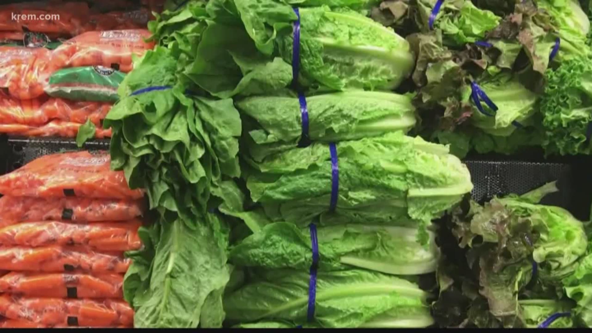 The Yuma, Arizona E. Coli outbreak in romaine lettuce has caused some confusion over how to tell where your purchased lettuce is coming from. (5-1-18)