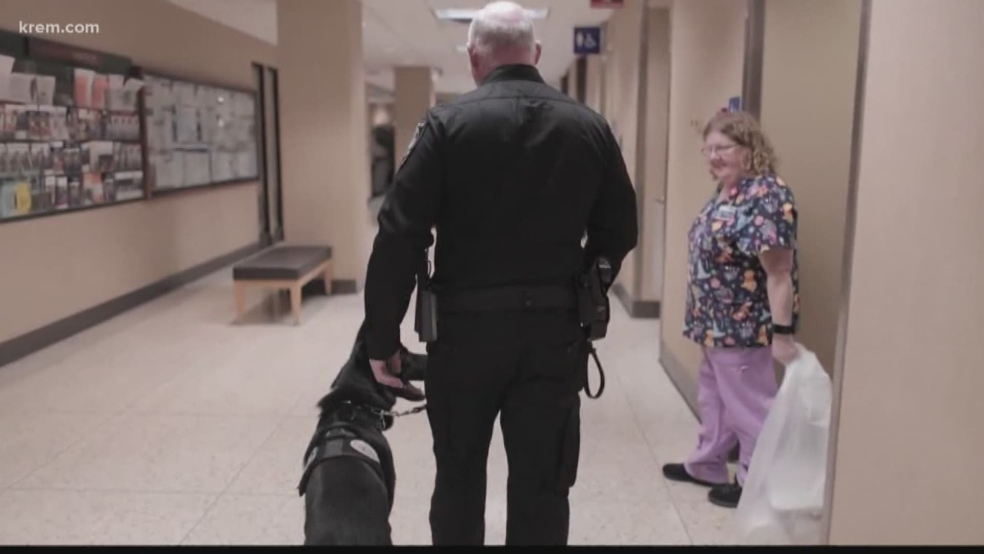 First of it's kind K9 security program in Washington State at Providence Health Care in Spokane.