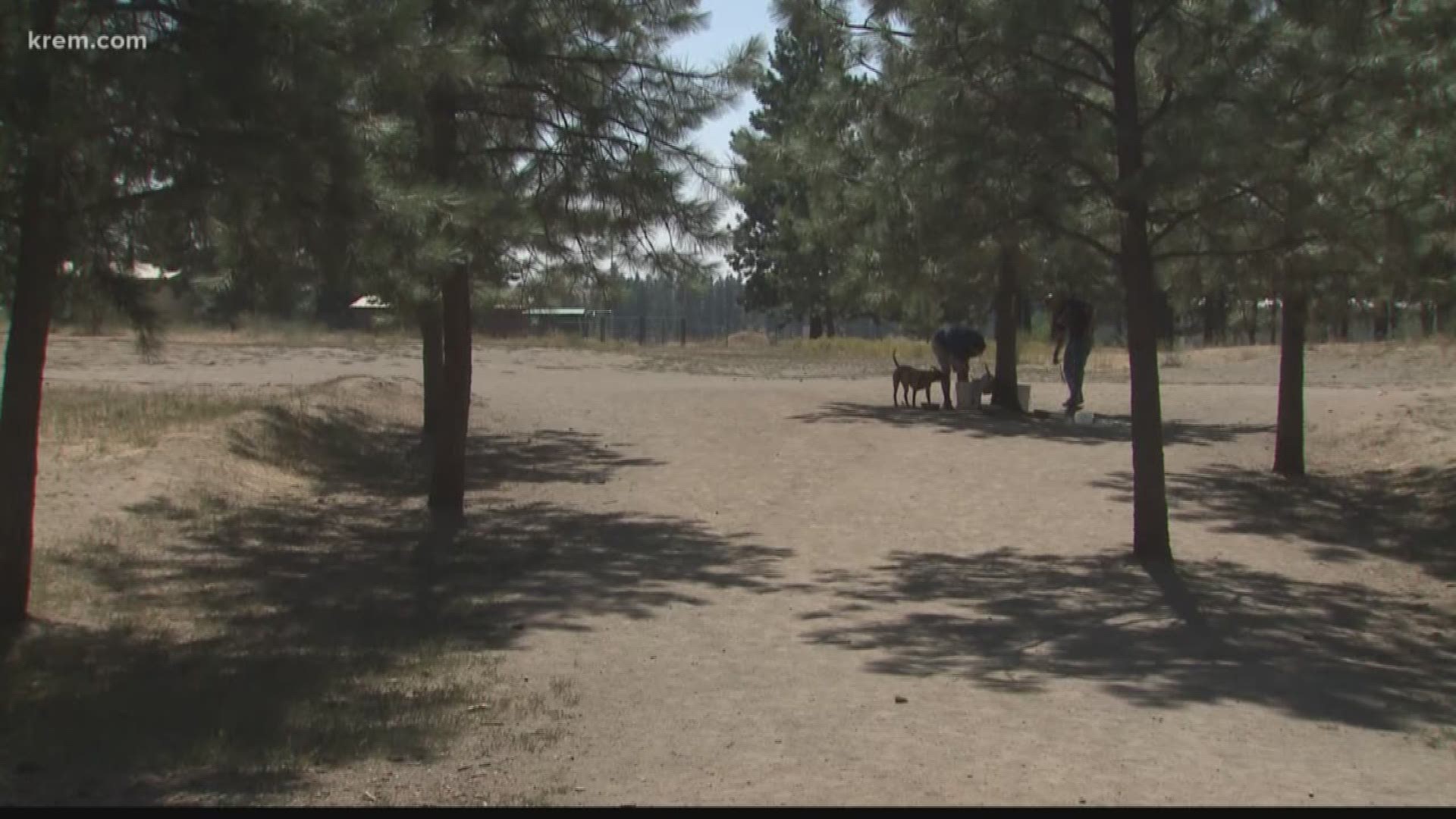 South Hill dog owners upset a middle school could replace dog park
