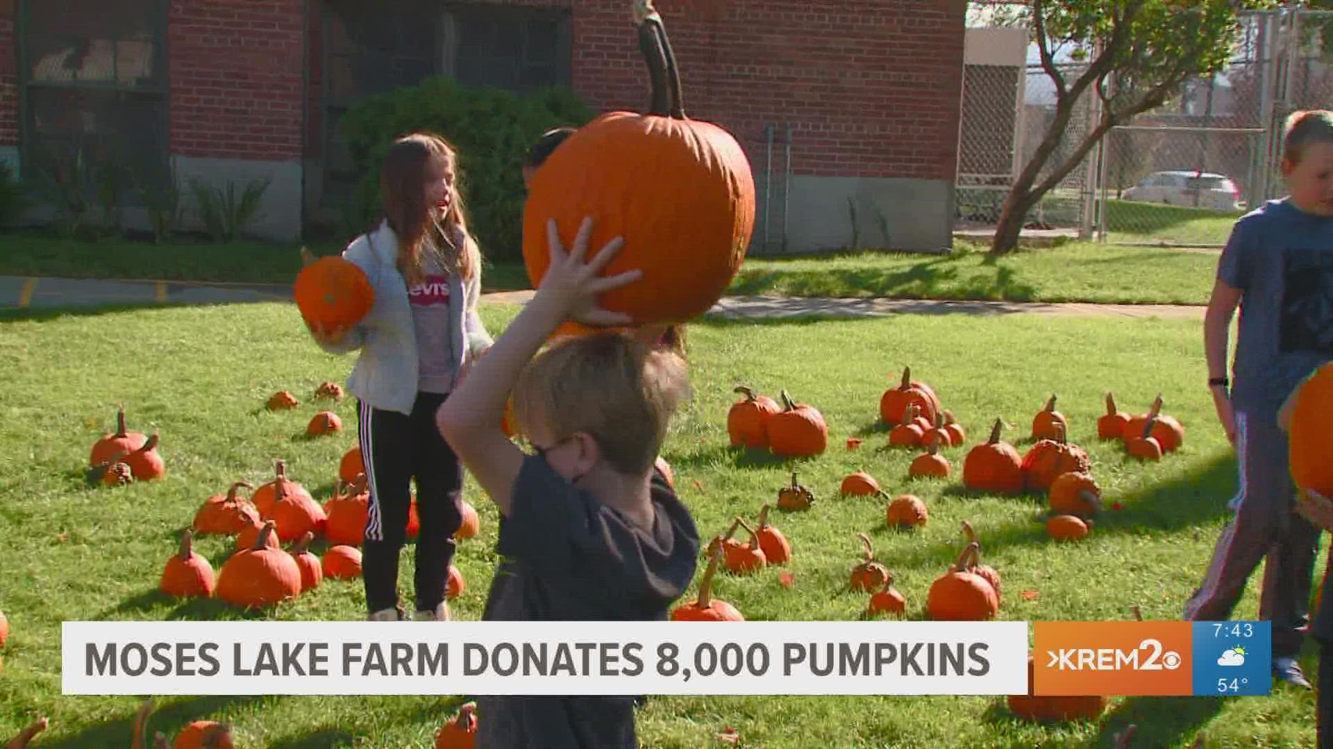 Moses Lake farm donates 8,000 pumpkins