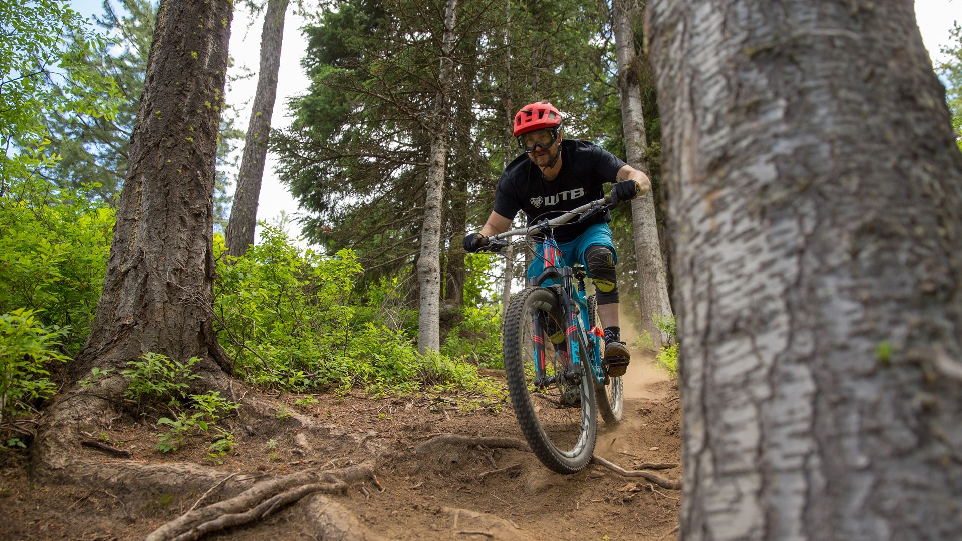 silver mountain bike park schedule