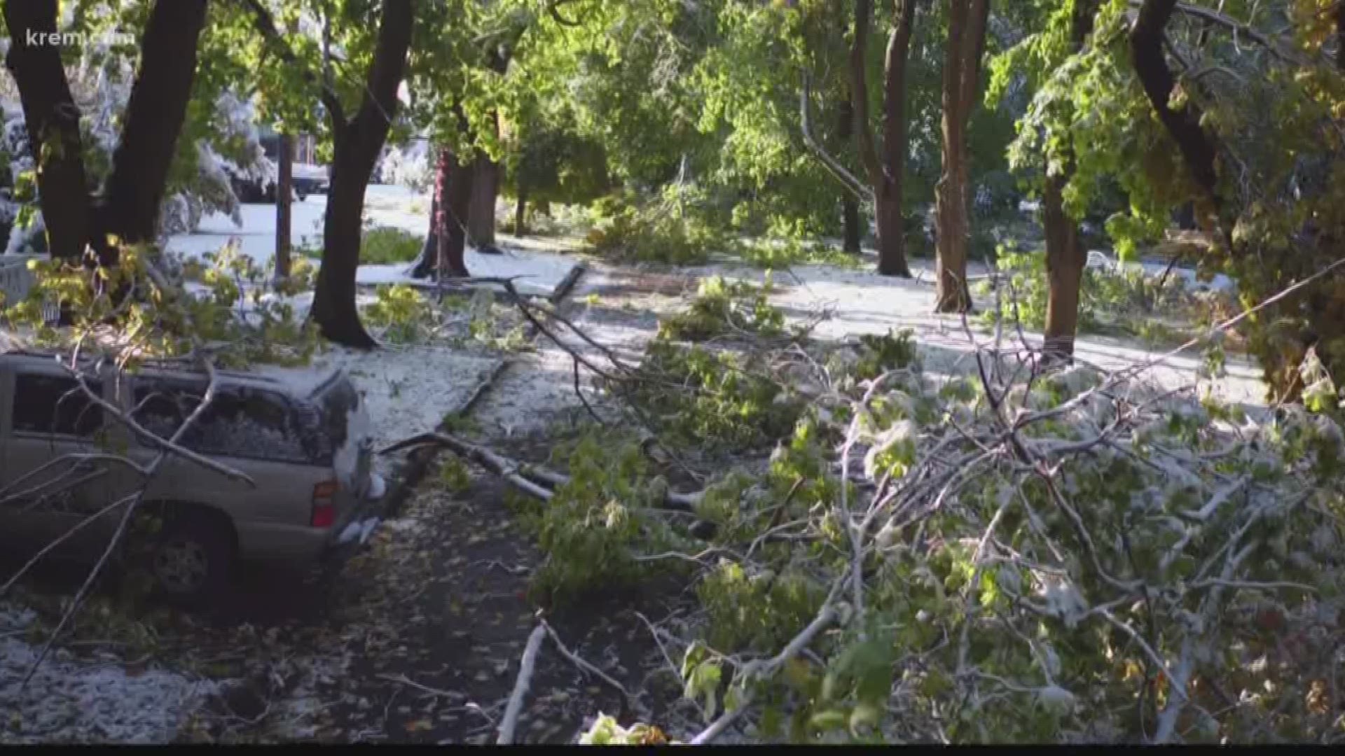 Spokane residents are helping each other clean up tree debris from their property. The city of Spokane expects cleanup to continue into next week.