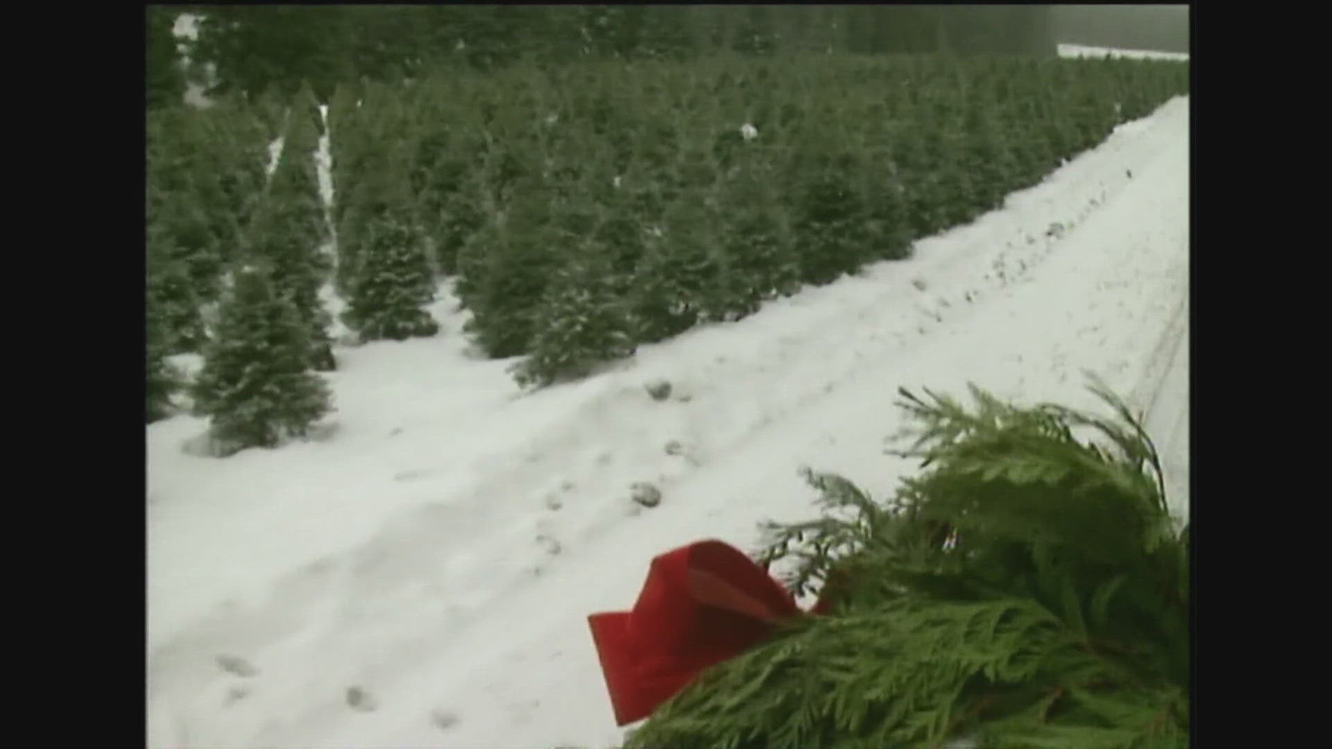 Does fedex ship on christmas eve