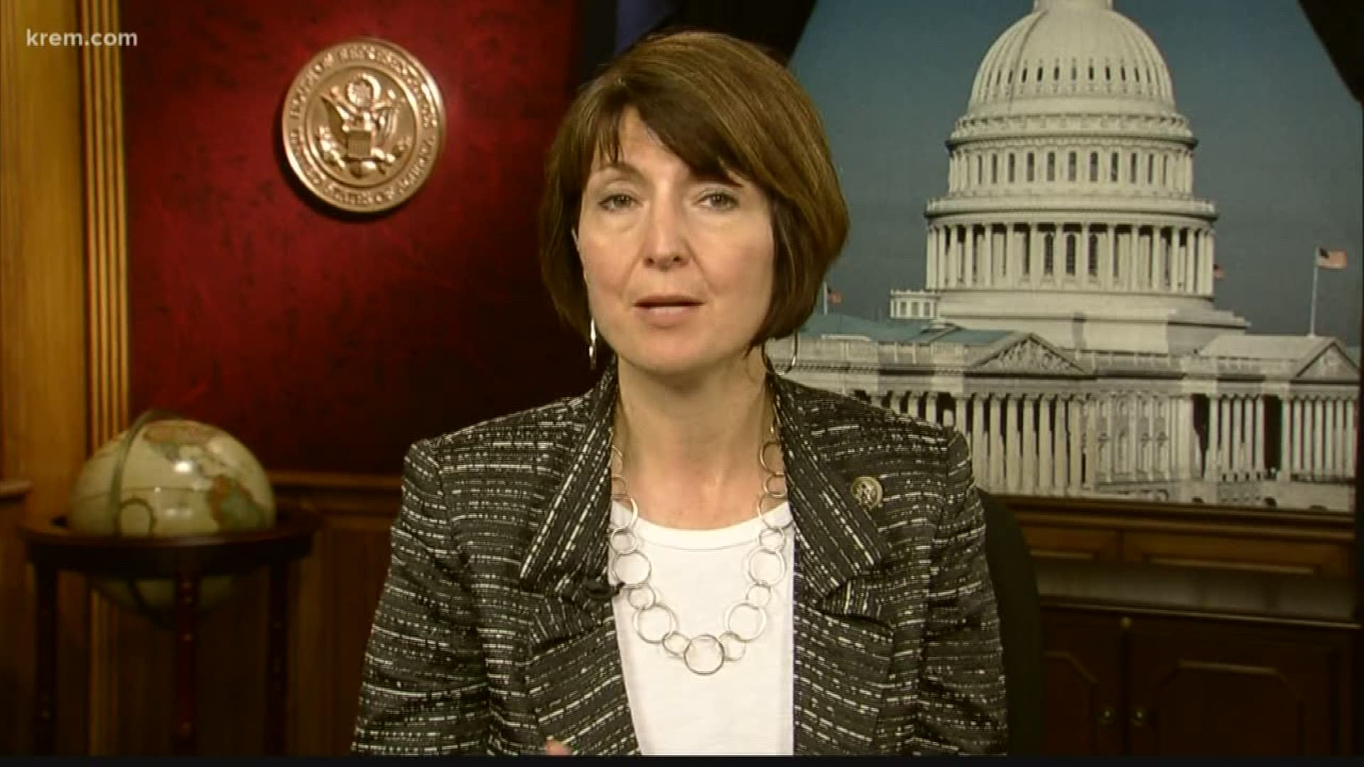 Cathy McMorris Rodgers, Lisa Brown answer questions about veteran services, drug prices (7-24-18)