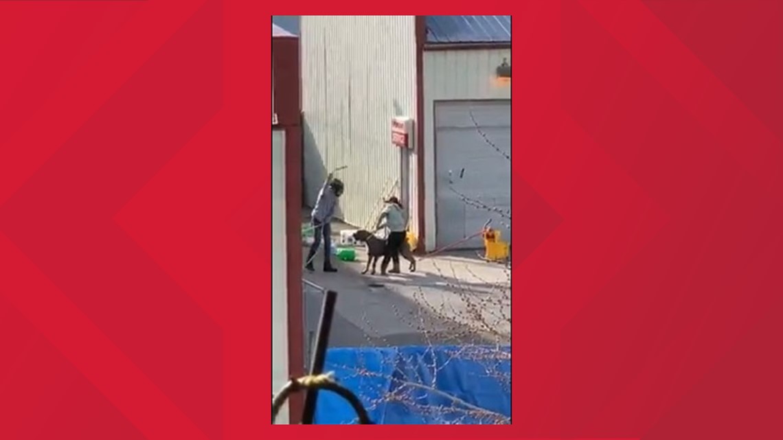 Employee at from Jeanne's Doggy Daycare fired after viral video