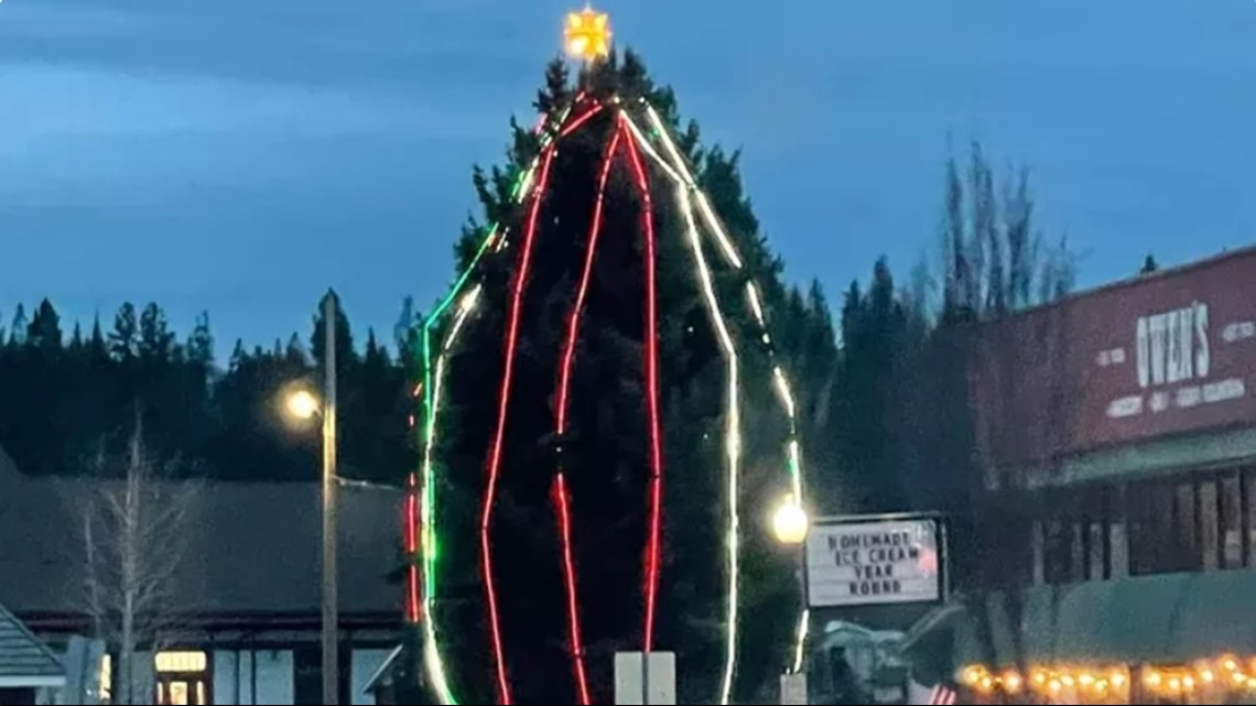 Newport residents join together to fix Christmas tree - Vimarsana News