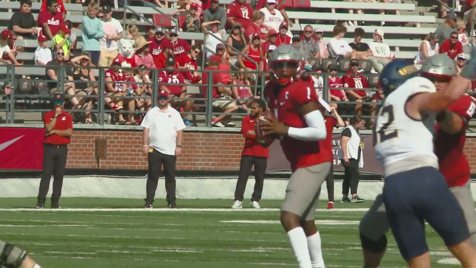 Ward threw for 3,753 yards and 25 touchdowns in his final season at WSU.