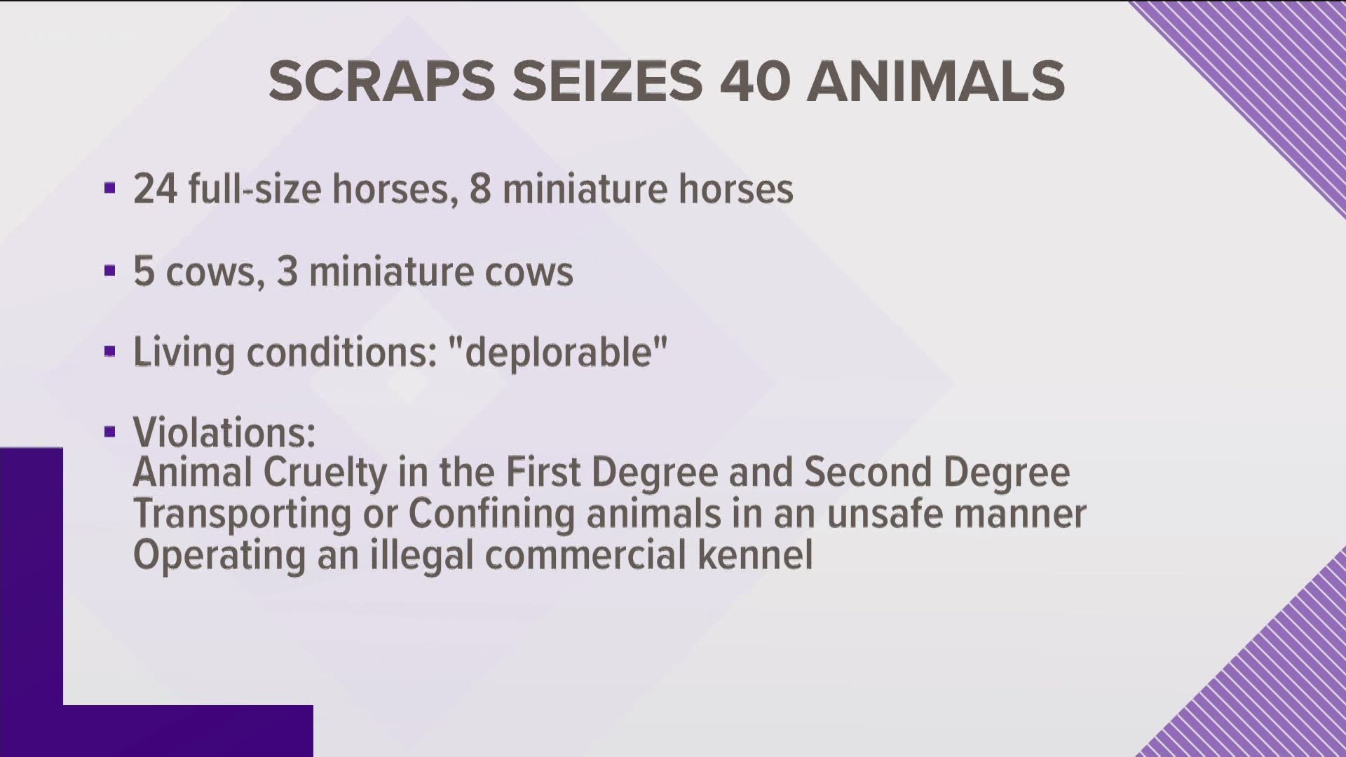 SCRAPS seized 24 full-size horses, eight miniature horses, five cows and three miniature cows from a property in southwest Spokane County.