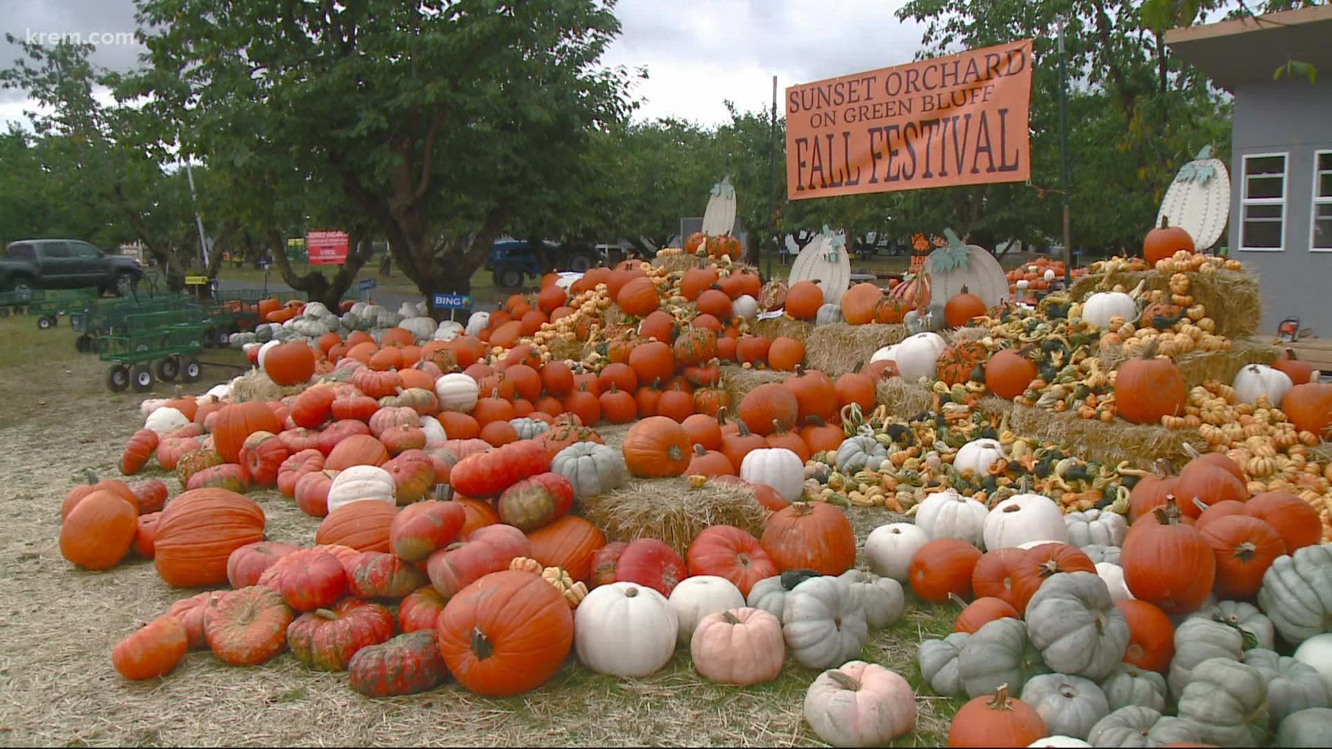 The Fall Harvest Festival runs from Sept. 25 through Oct. 31 on weekends at different times, and reservations in advance are required this year.