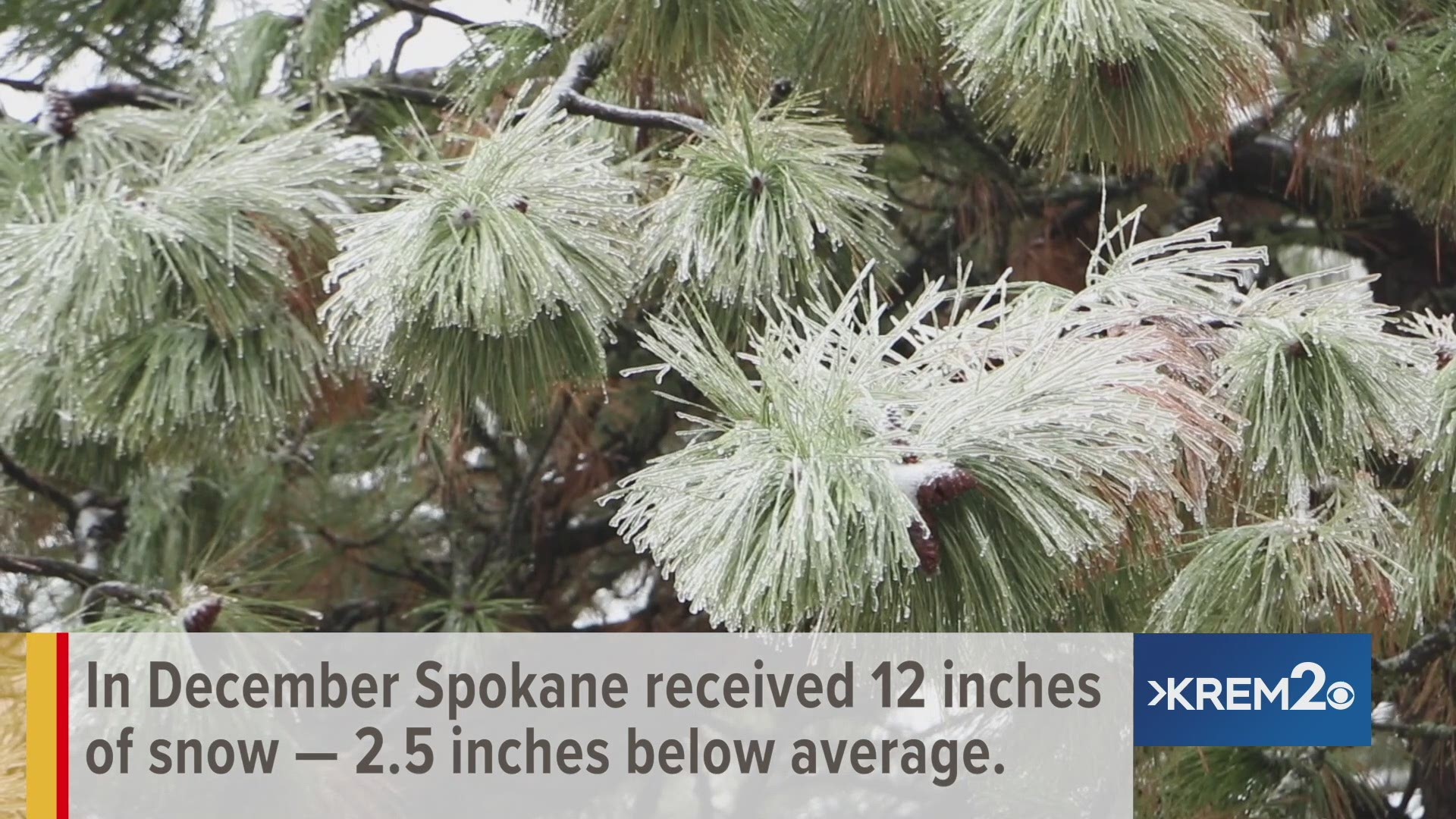 It hasn't snowed that much in Spokane so far this year. This is how far we are behind normal snow totals.