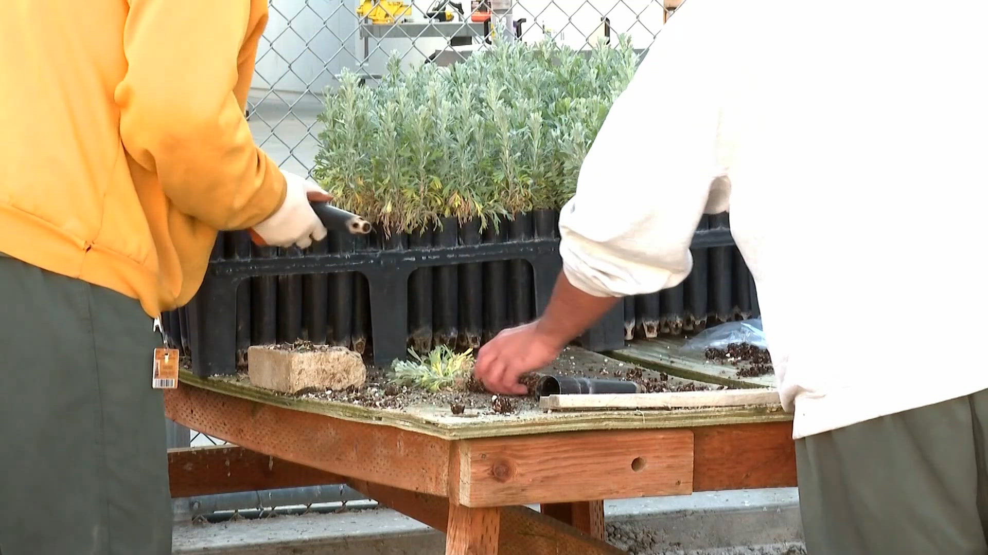 Shoshone County approves park upgrades | krem.com