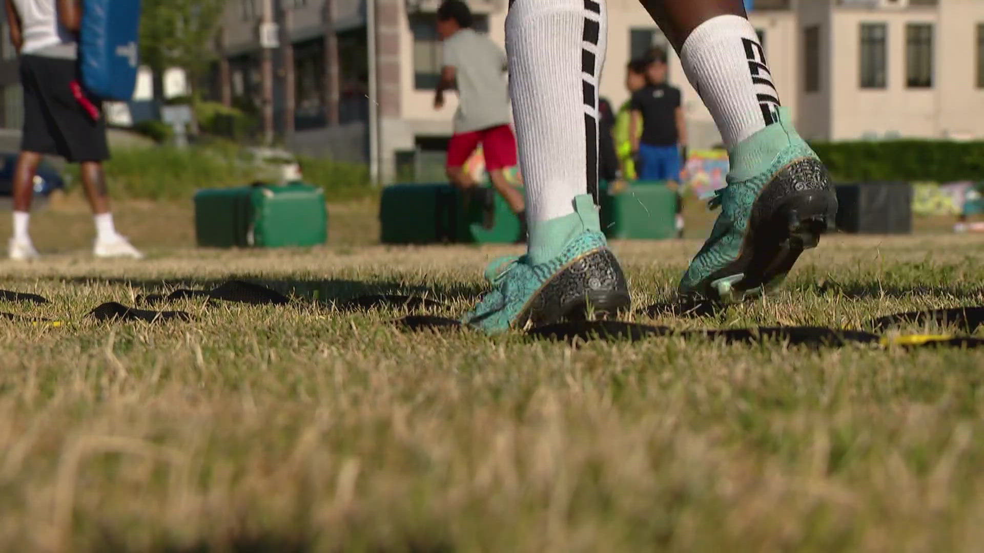 Artificial turf has multiple negative impacts on the environment, so scientists are hoping to make real grass more accessible to more people.