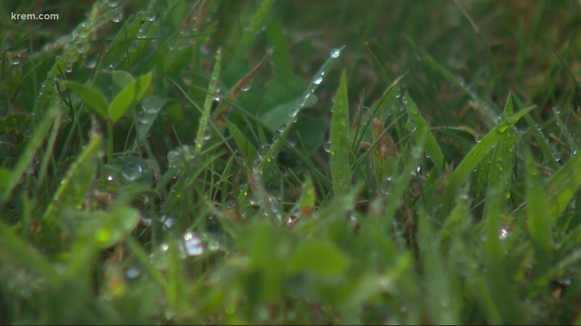 Spokane City Council approves drought response measures ordinance