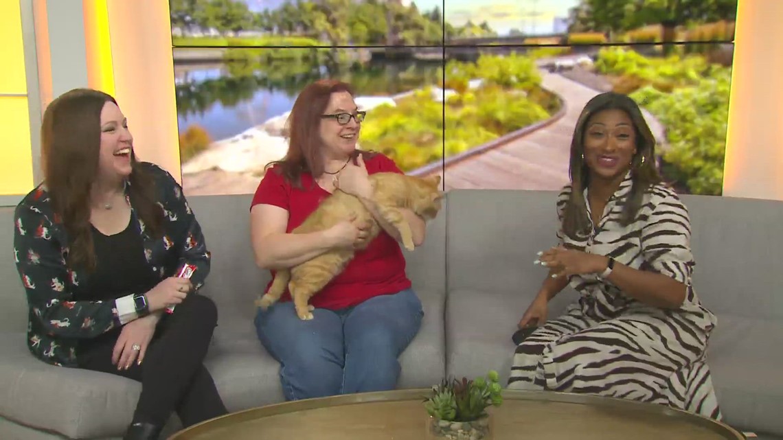 Partners for Pets takes home first place in KREM's Who Do You Love