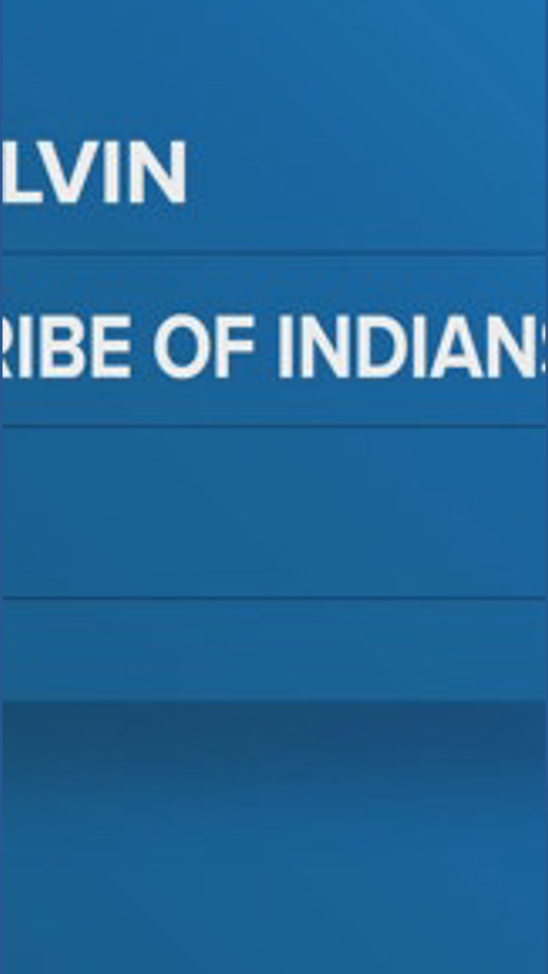 Former Spokane Tribal official sentenced to $100,000 in restitution and ...