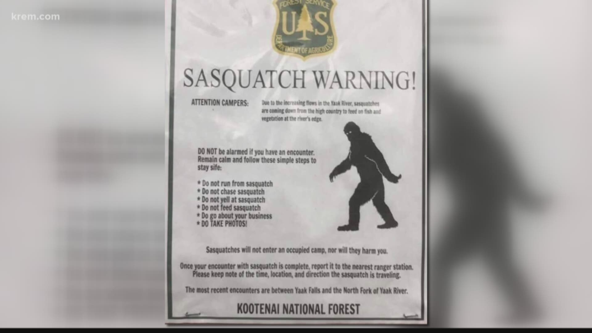 Viral flyer about Sasquatch being spotted in Kootenai National Forest is fake