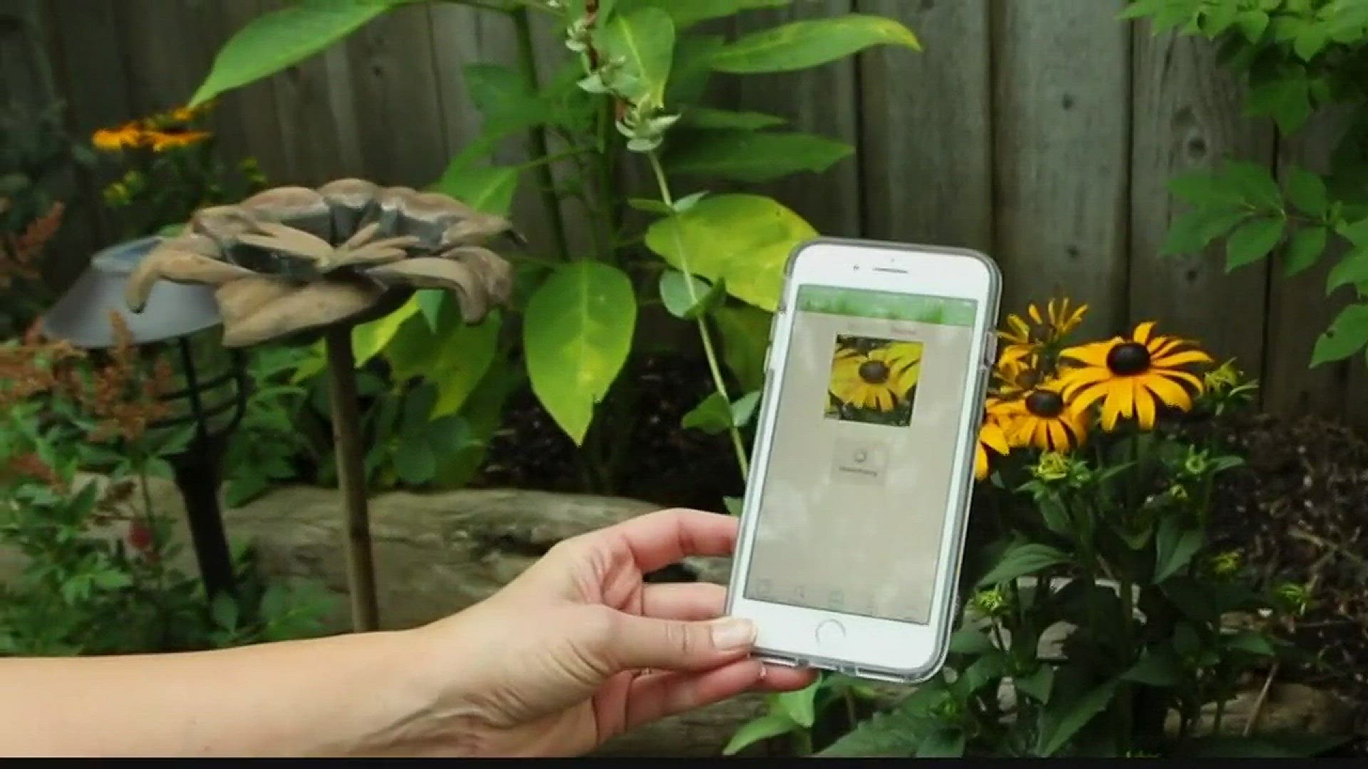 KREM 2's Jane McCarthy checks out a new app on her phone that lets people take a picture of a plant and it identifies it.