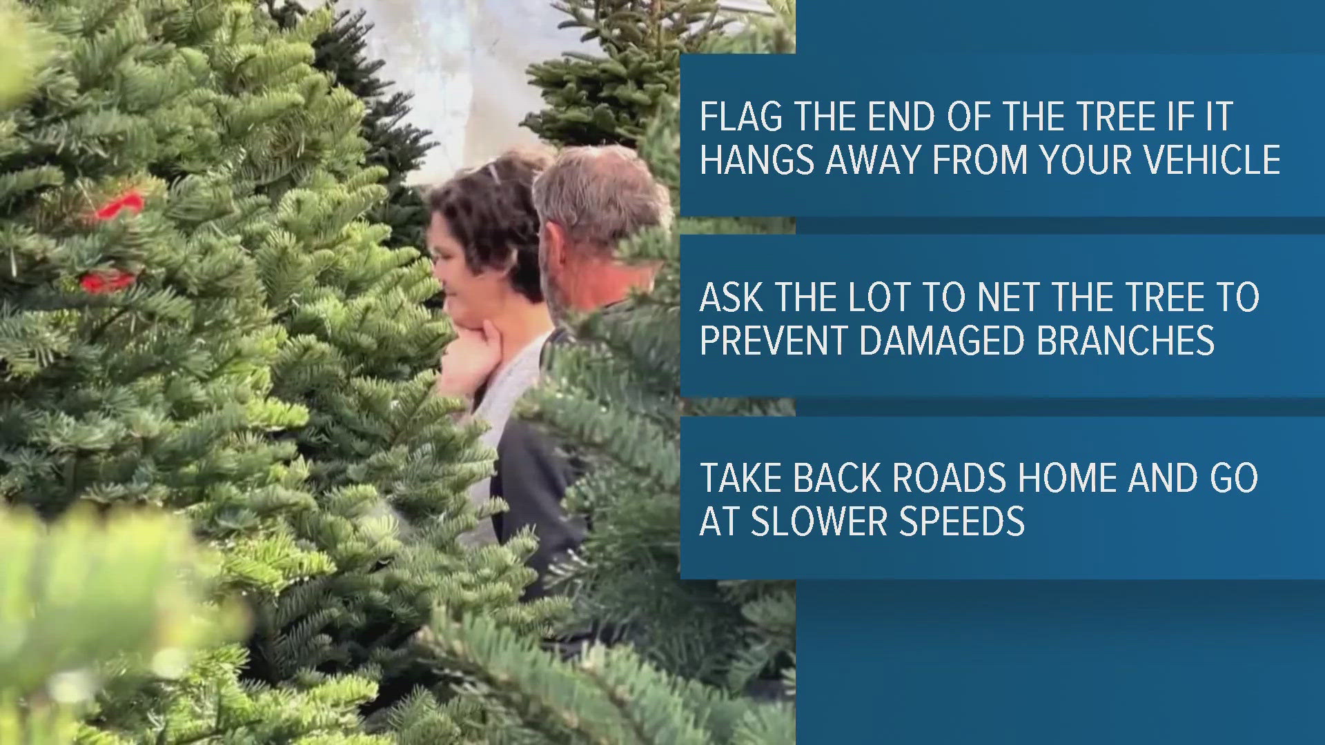 Transporting Trees Home AAA shares safety tips for transporting real Christmas trees | krem.com