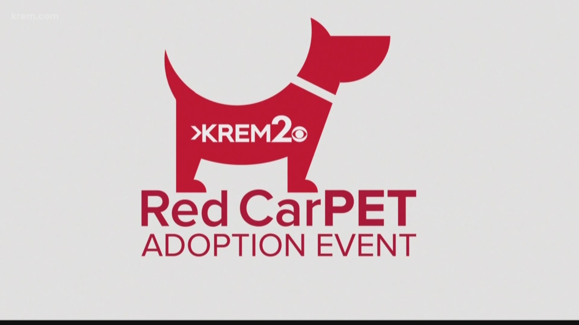 The 2020 KREM 2 Red CarPET event features dogs from local animal shelters looking for new homes.