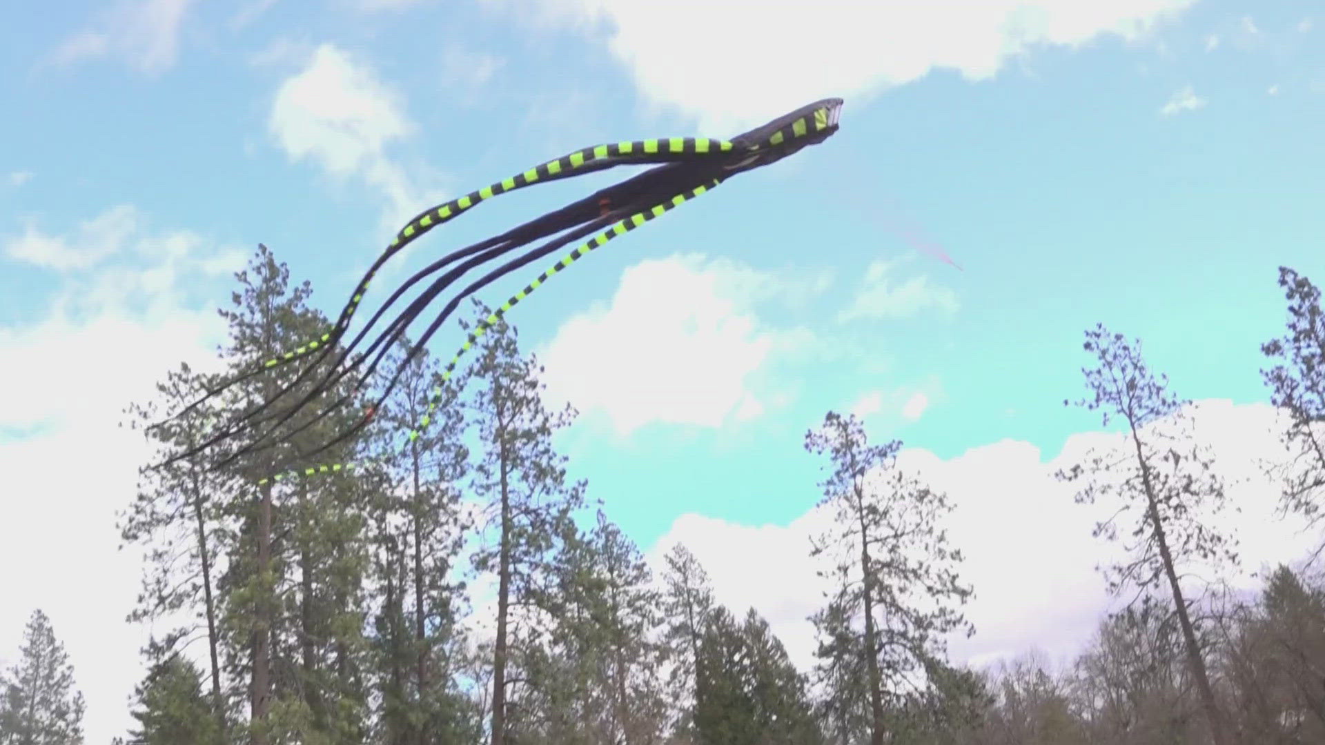 Wind advisory turns Spokane park into kite-flying delight for locals ...