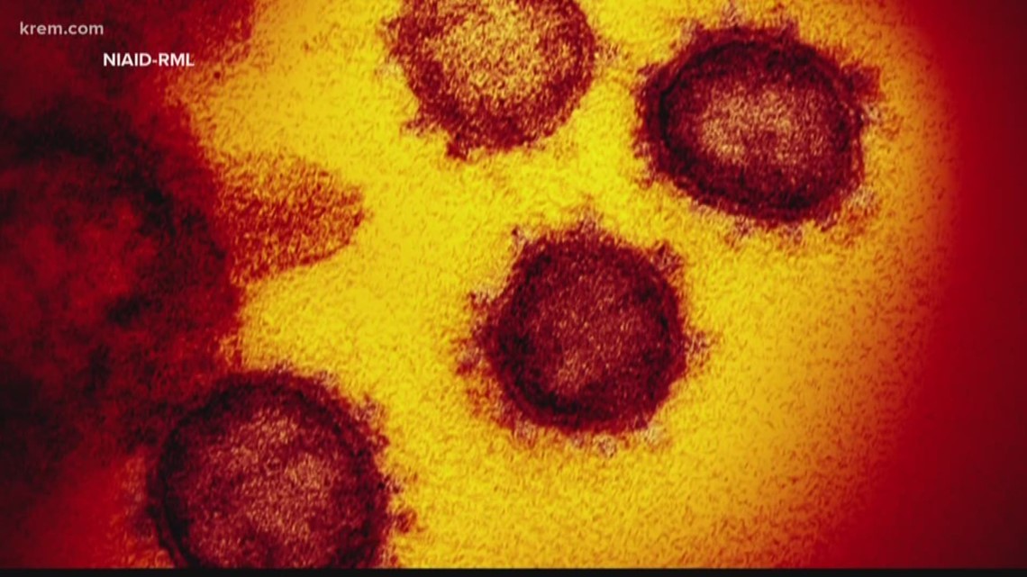 How bad is the COVID delta variant wave in Spokane?