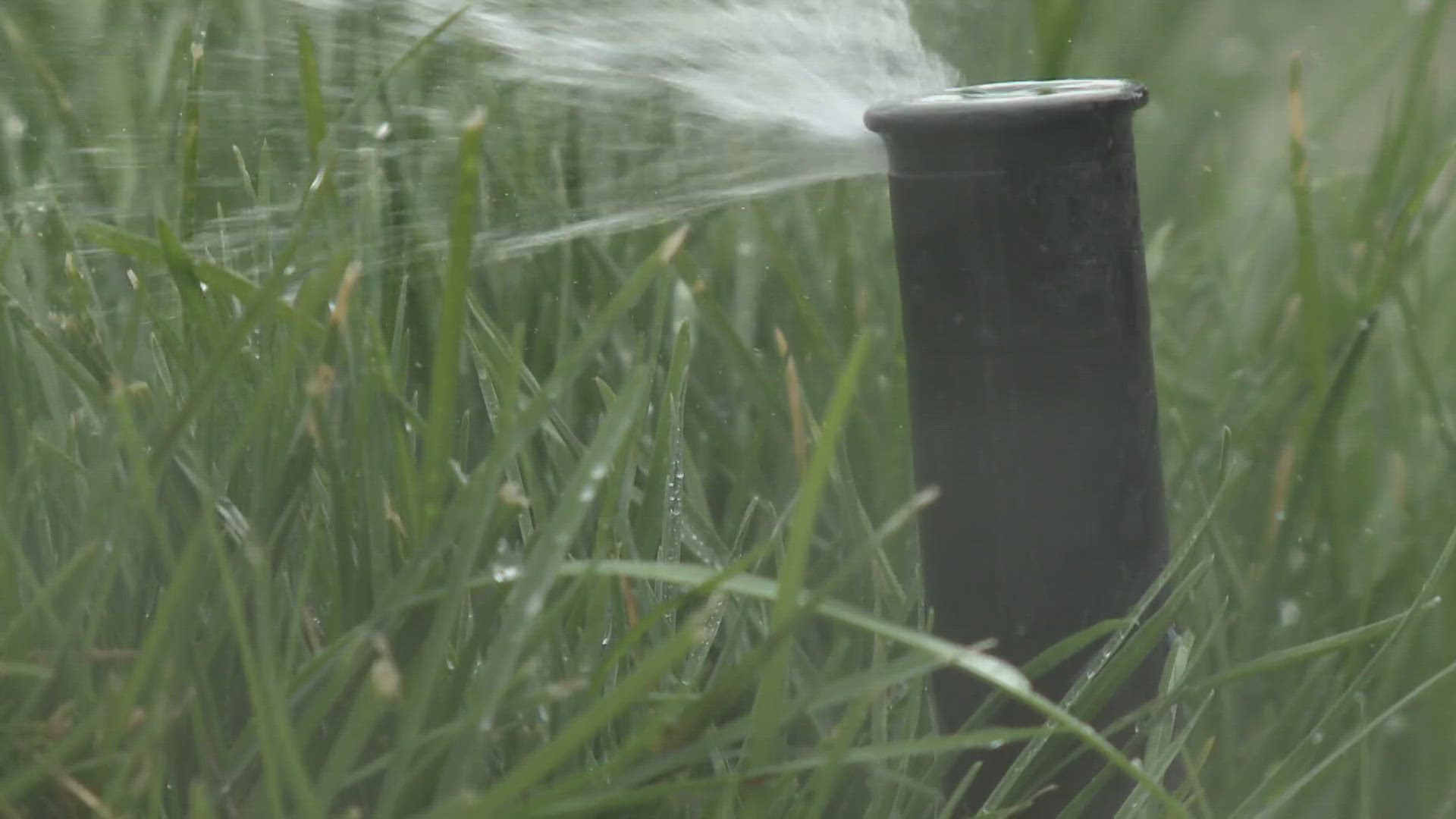 Some parks in Spokane may start to look a little more dray than others as they work to balance preserving public green space and conserving water.