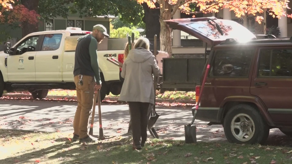 SpoCanopy to plant 500 more trees across Spokane | krem.com