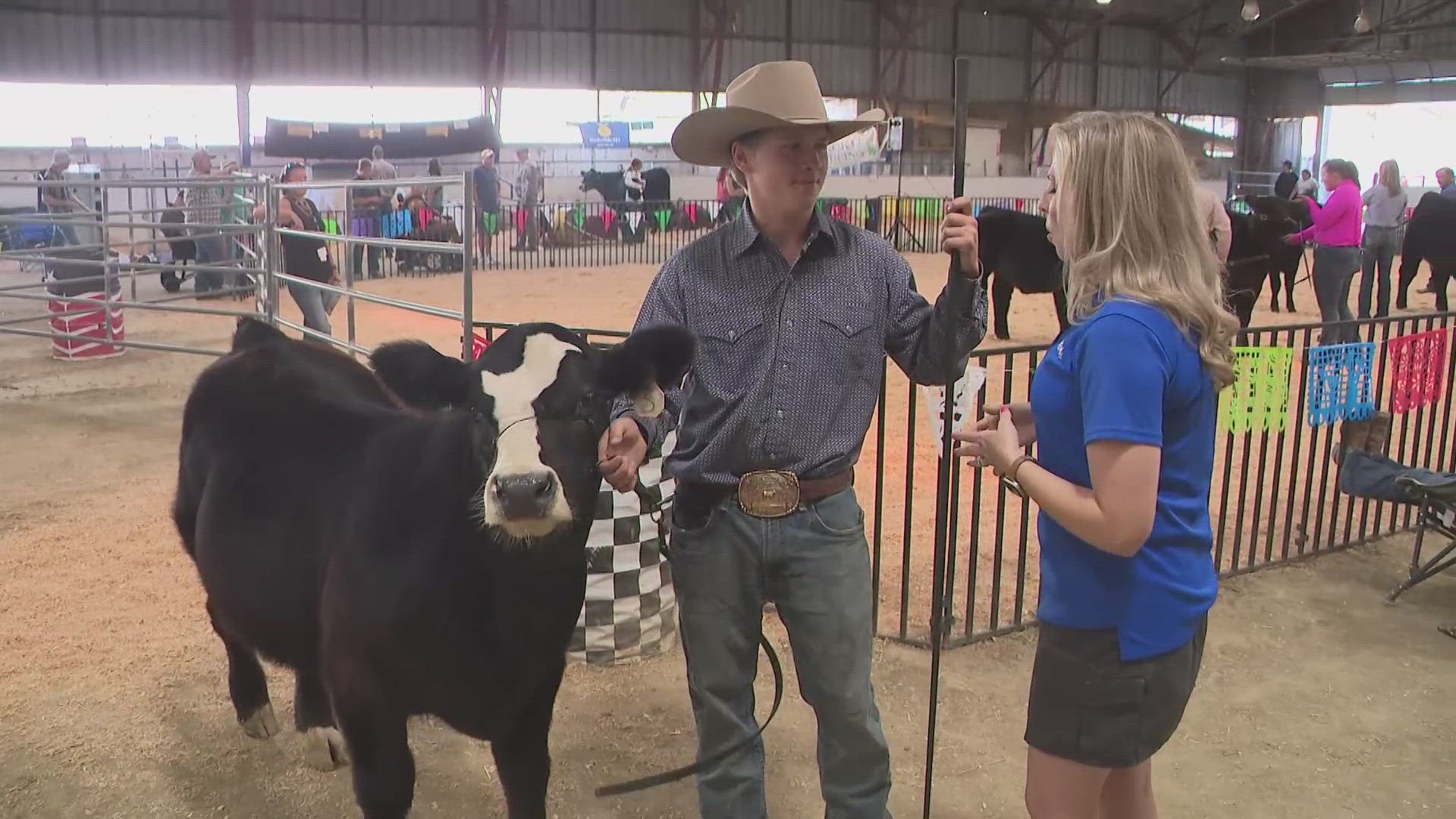 Award-winning bull, King Henry, from Cheney is just one of many animals that will be showcased at the Spokane Fair.