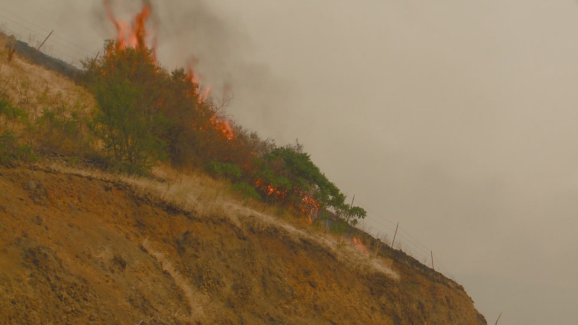 Level 3 (Go Now!) Evacuations issued for entire town of Juliaetta due