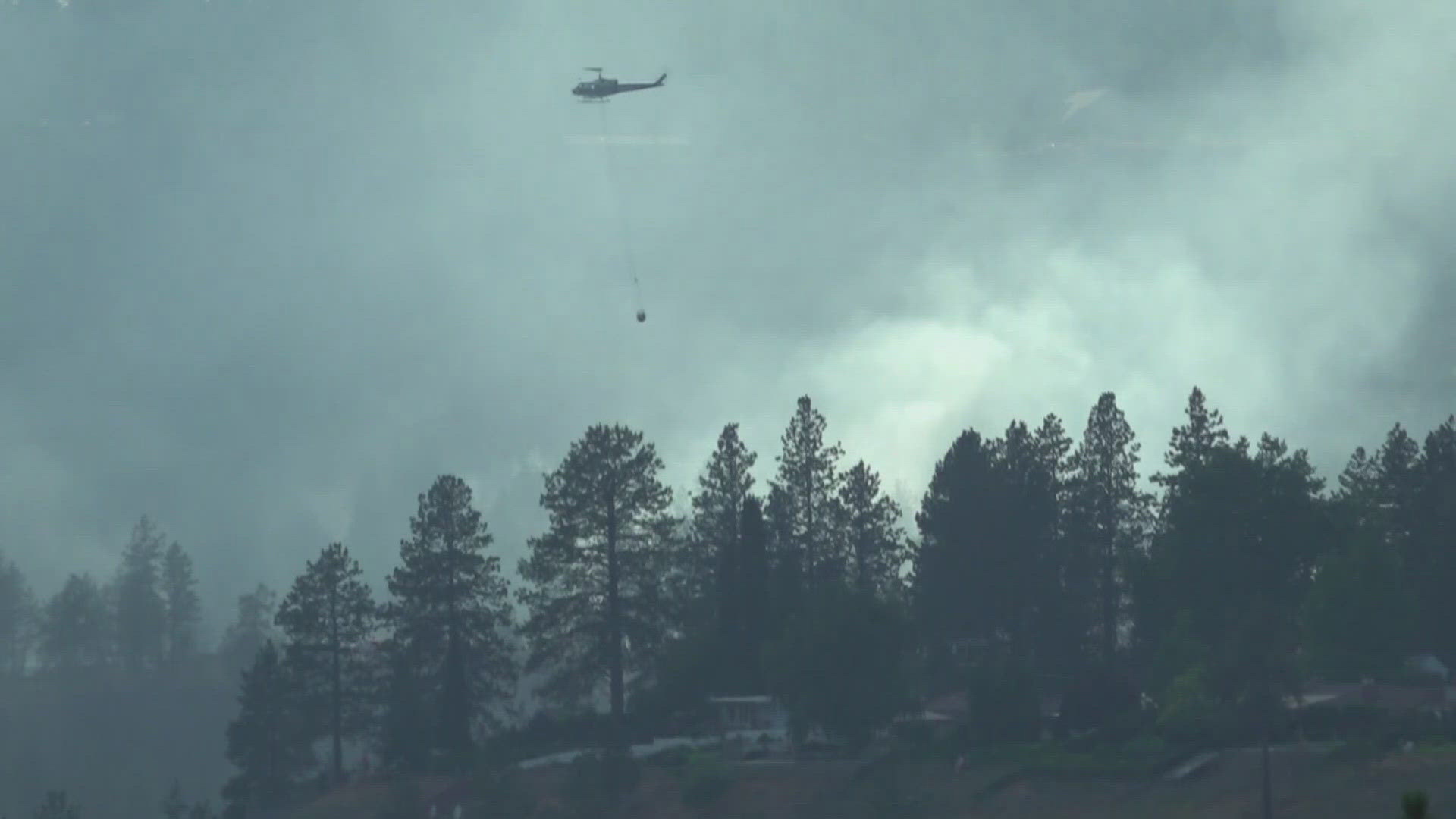 The fire is west of Equestrian Lane and 1/4 mile south of Morin Trailhead. The fire has spread to 50 acres, according to the Department of Natural Resources.