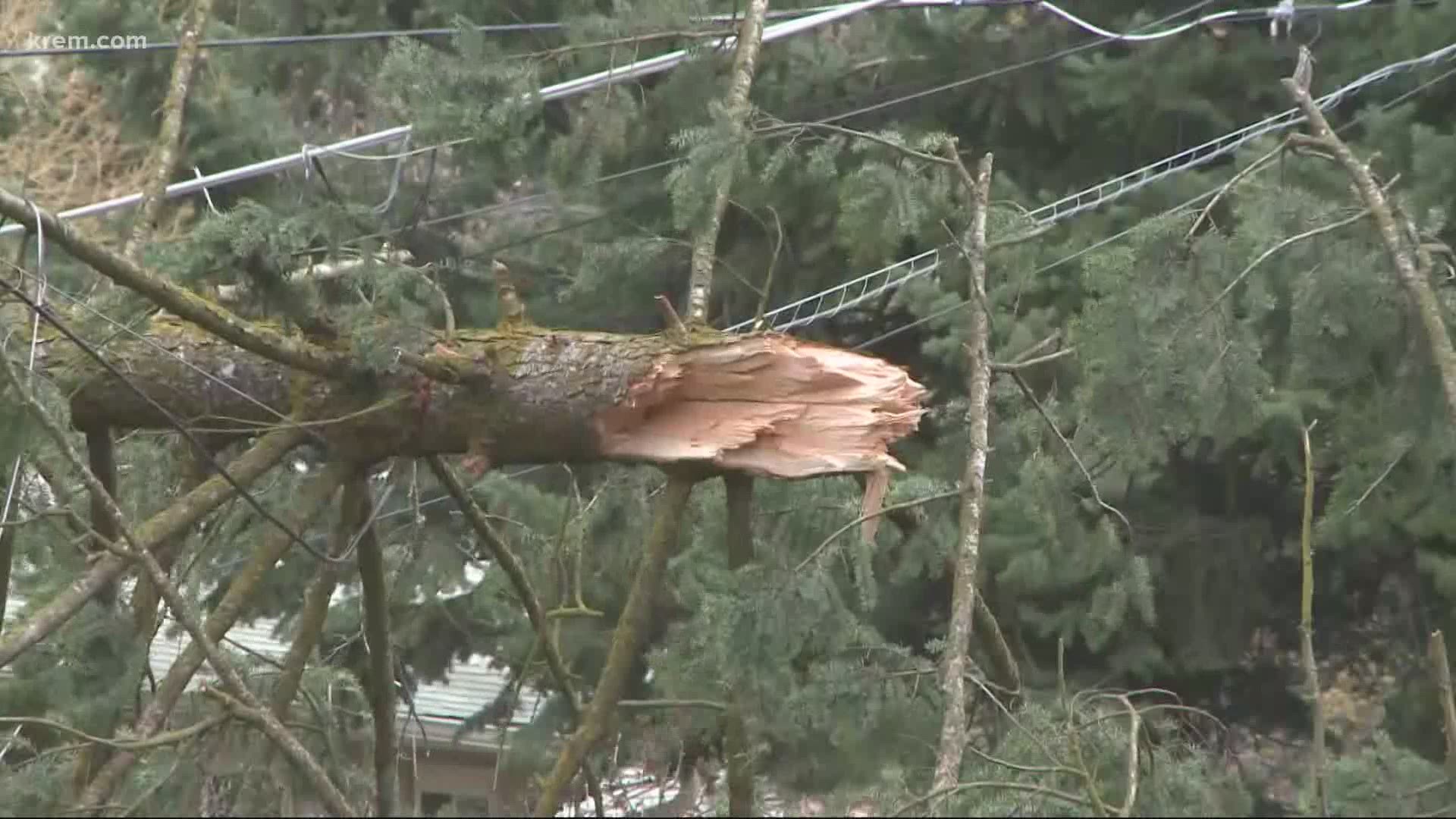 Power outages and downed trees are expected with wind gusts around 60mph this Wednesday.