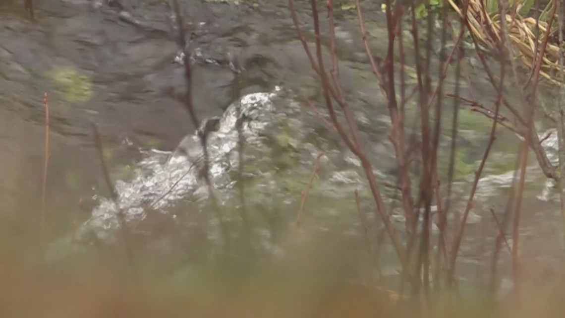 Washington Ecology orders Spokane County, city to come up with plan to provide clean drinking water to PFAS-contaminated area of West Plains