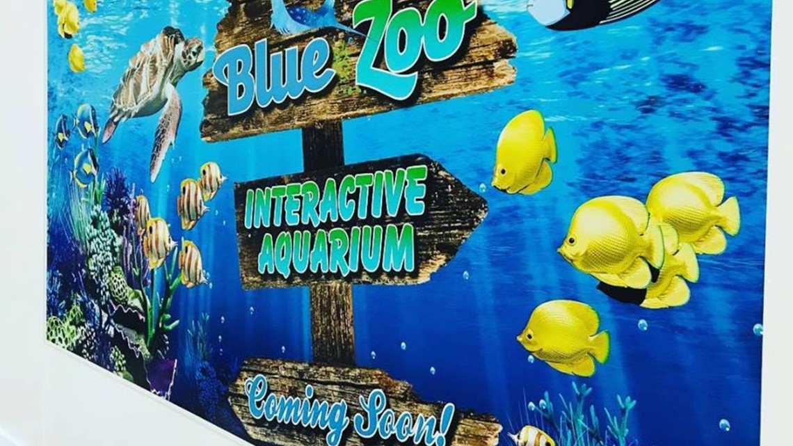 New interactive aquarium at Northtown Mall to open in July